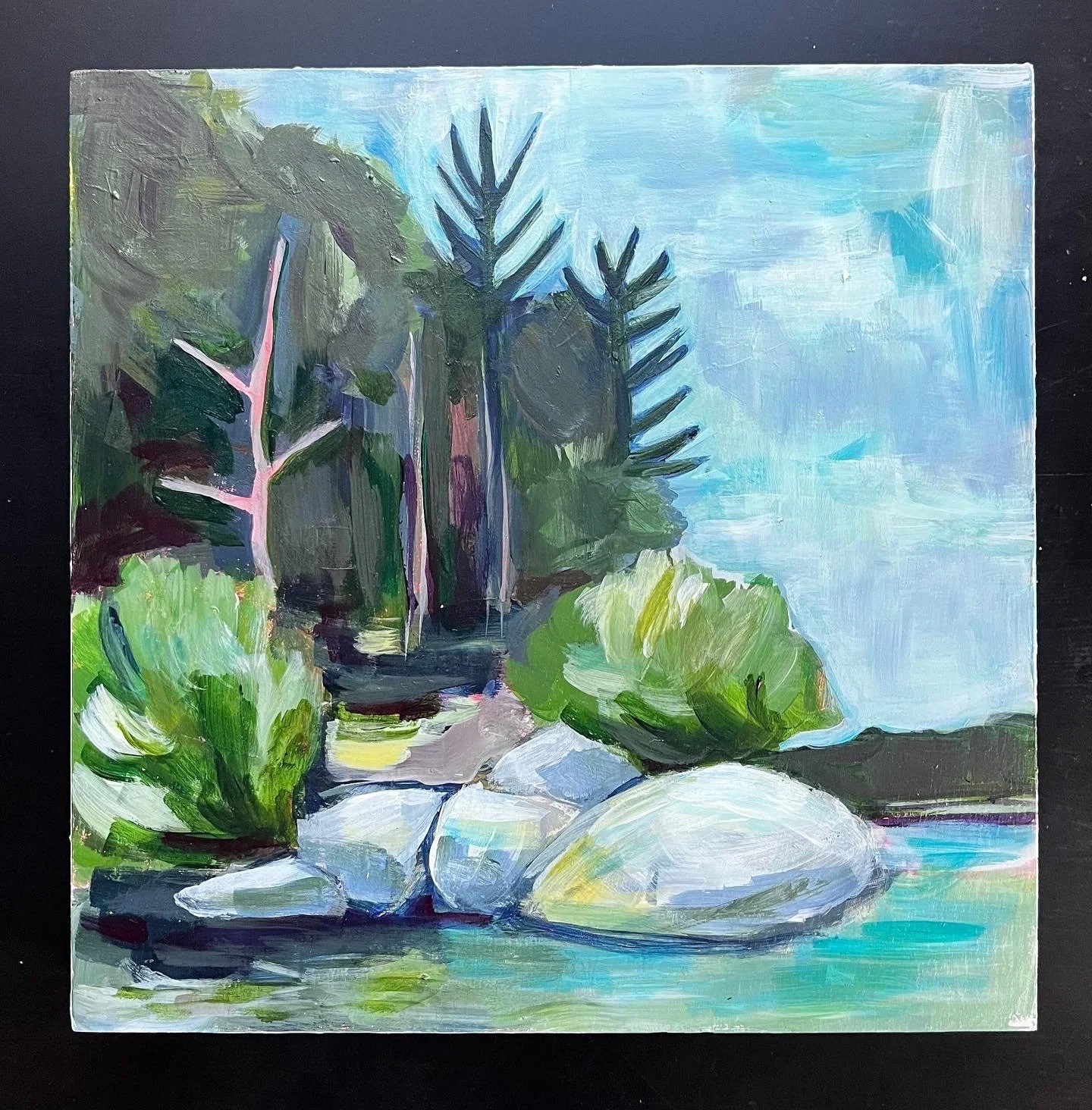 Point Elizabeth 13th Lake, Adirondacks NY