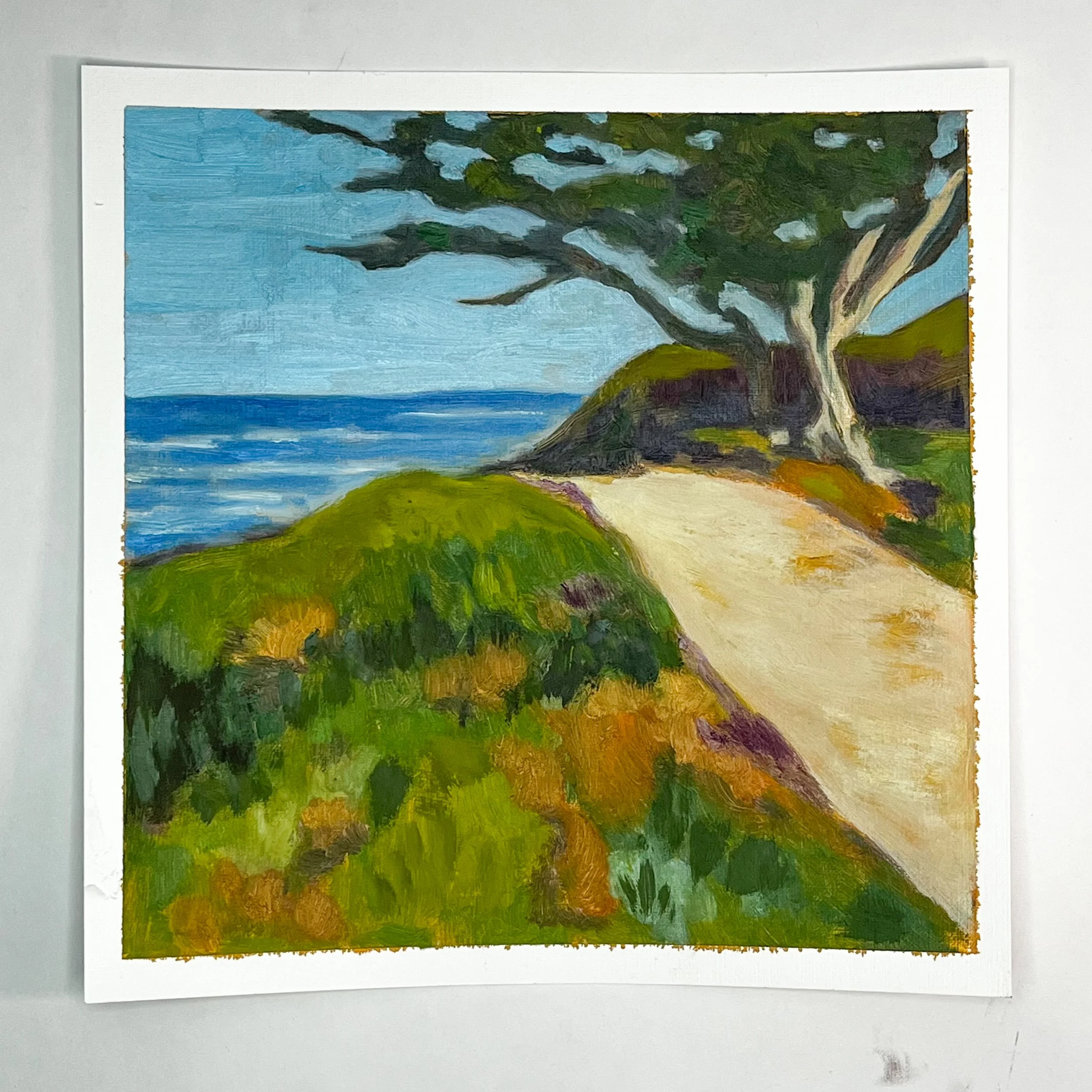 Path to the beach