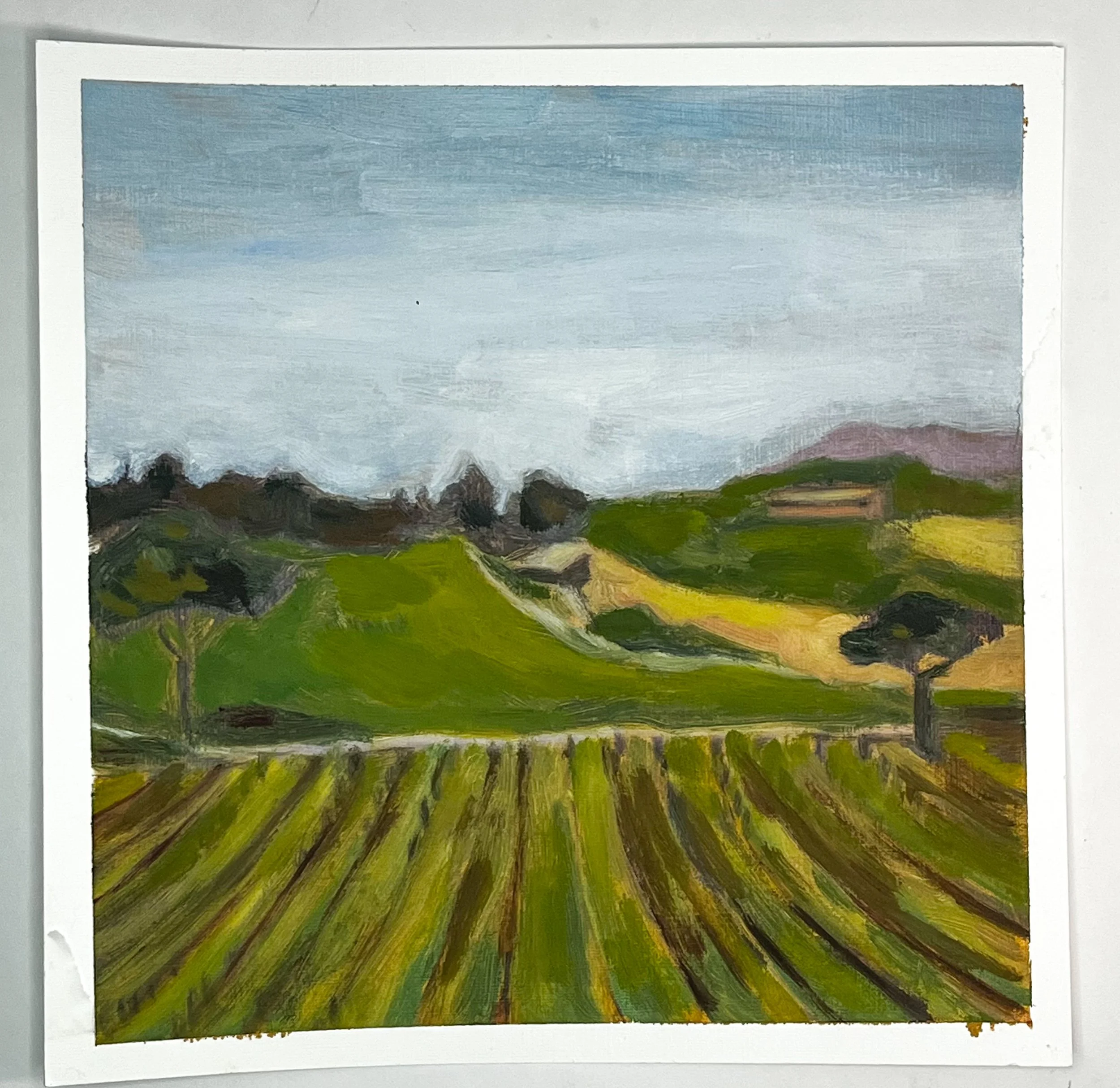 View from Trena Natura to Buonconvento, Italy