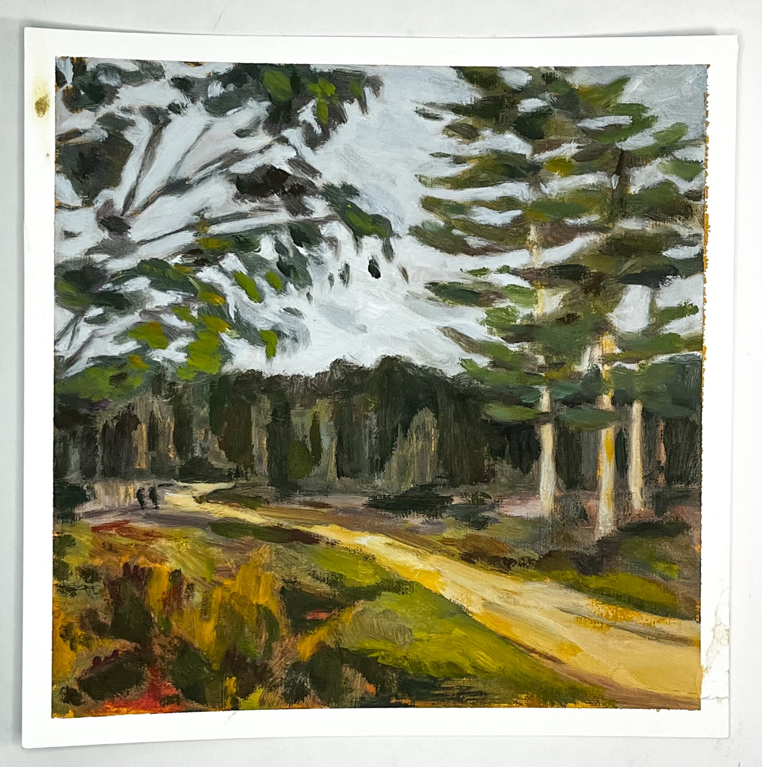 Woodland path