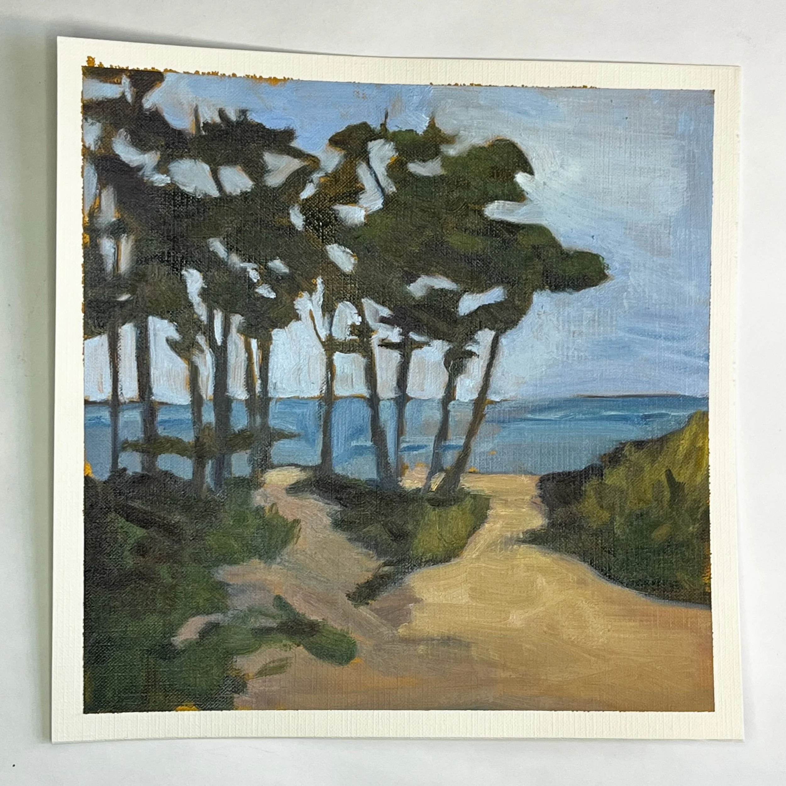 Path to the ocean