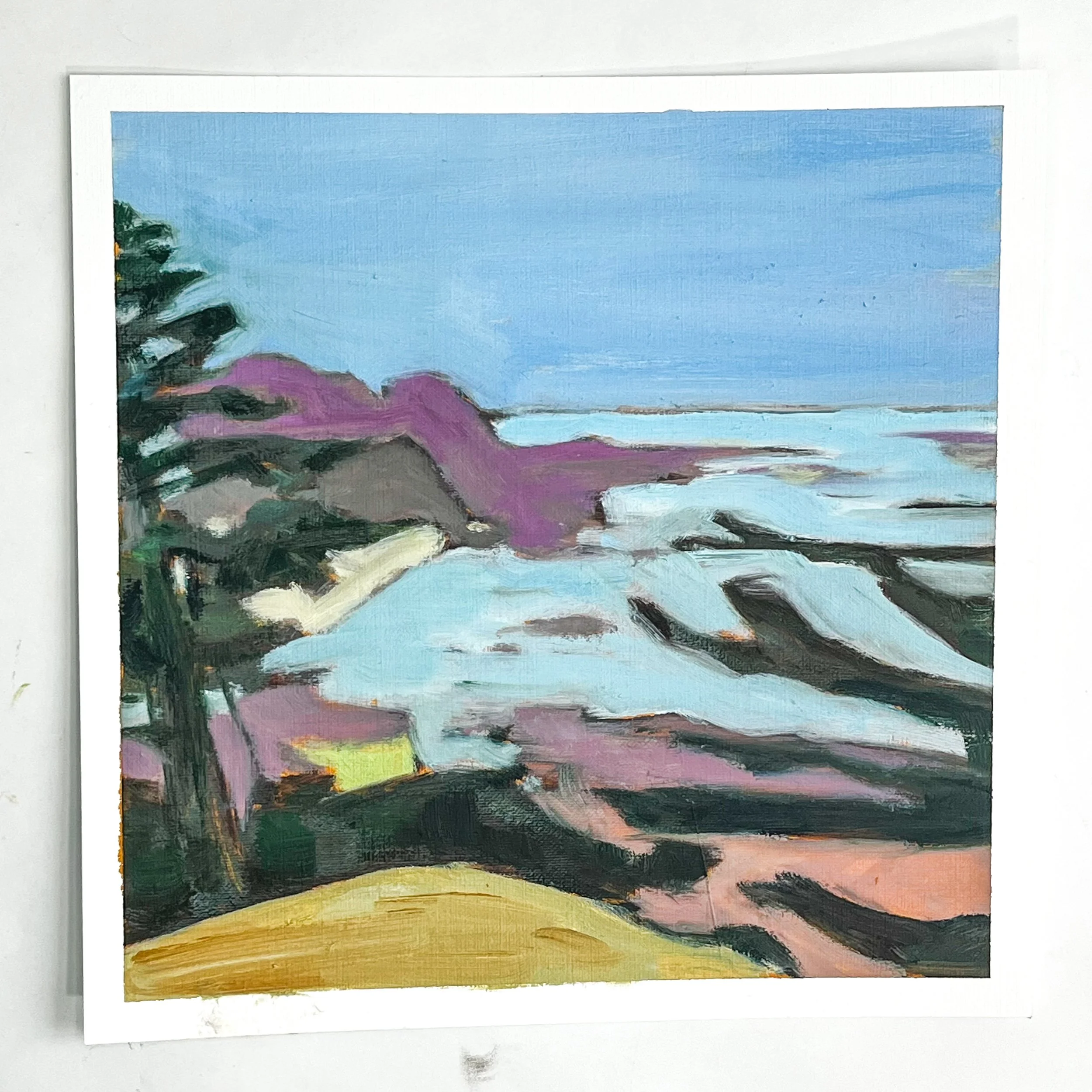 West Coast color fields