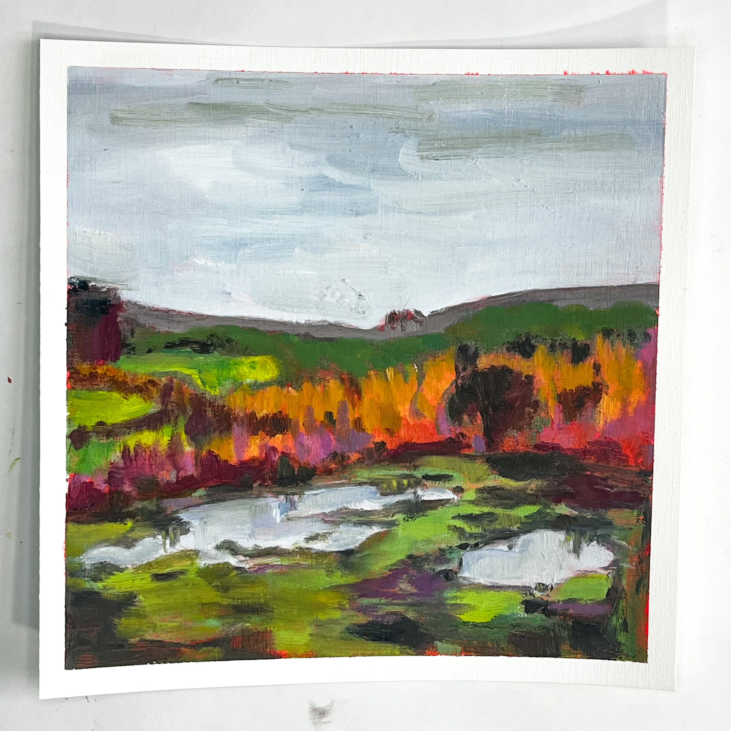 Autumn colors