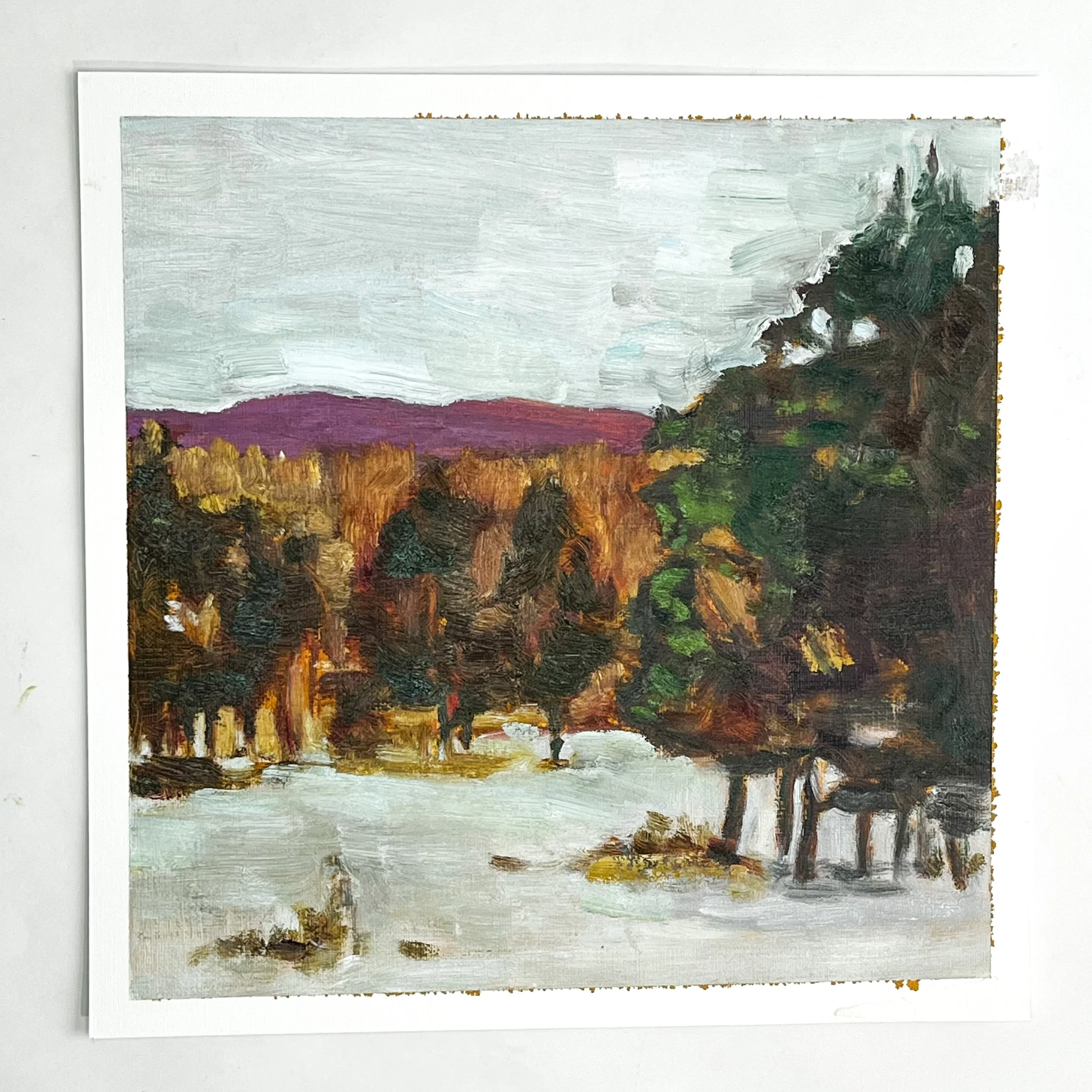 Saugerties, Ny Winter