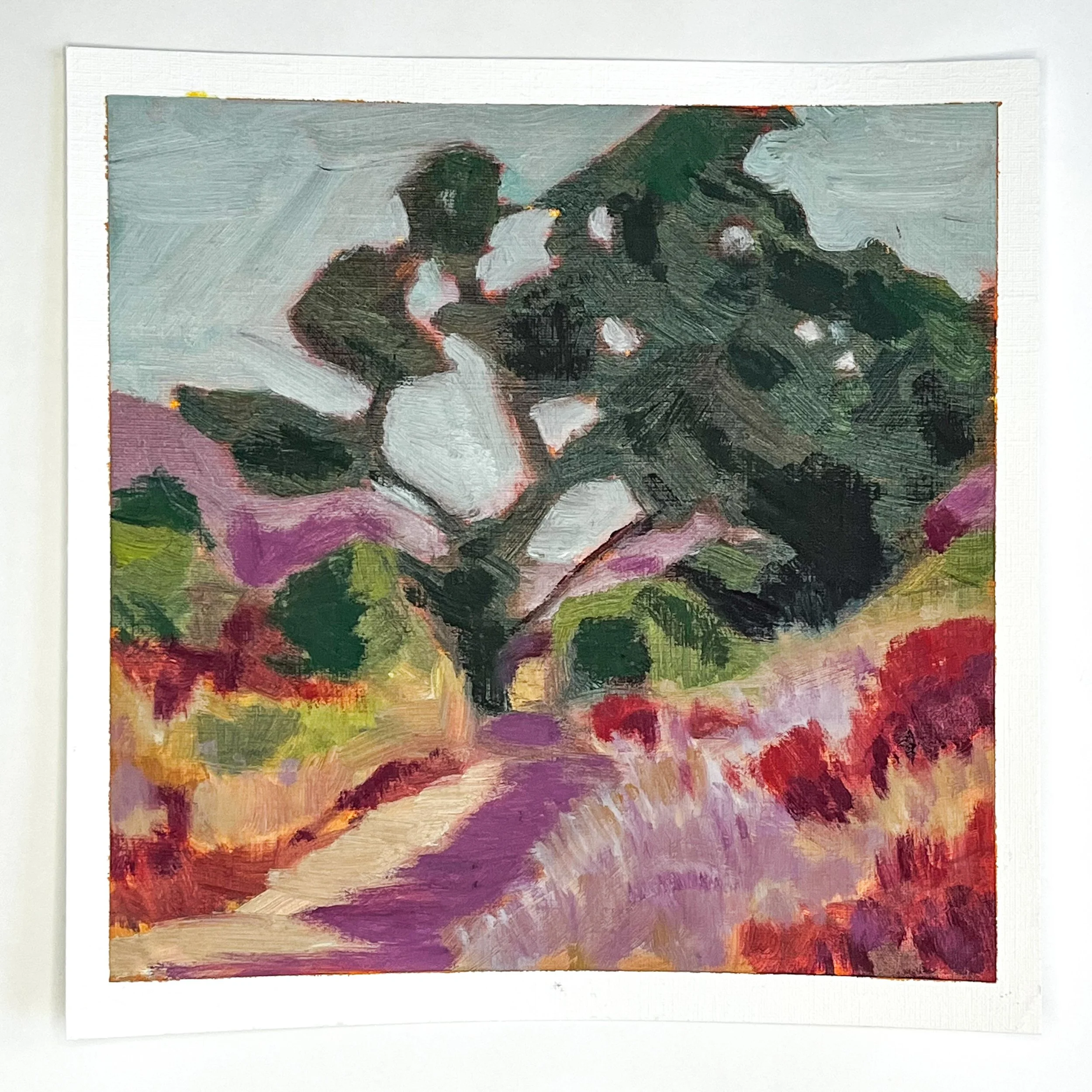 Tree and colorful field