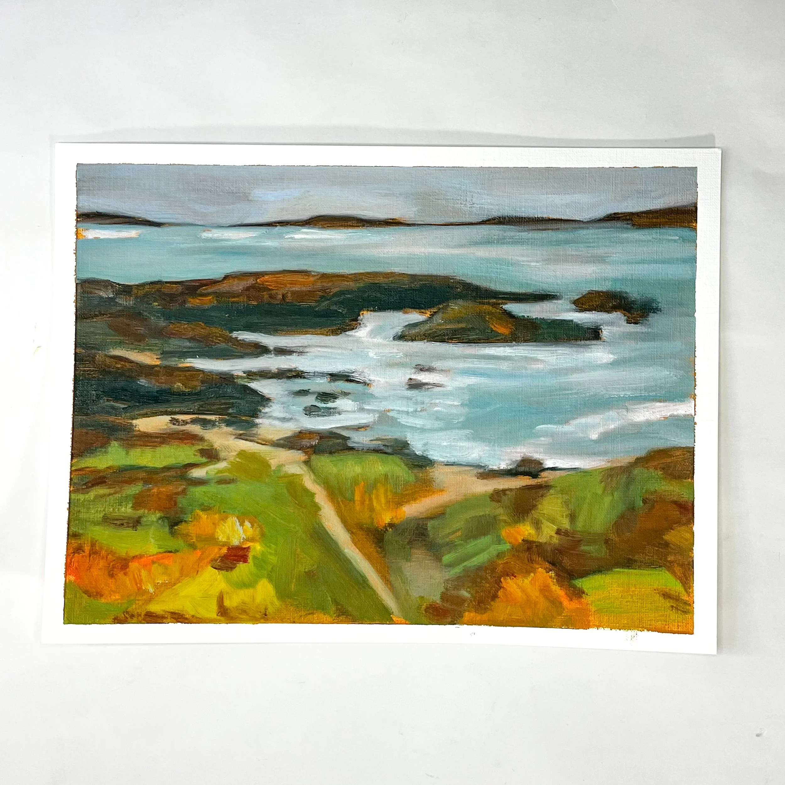 Coastline and poppies