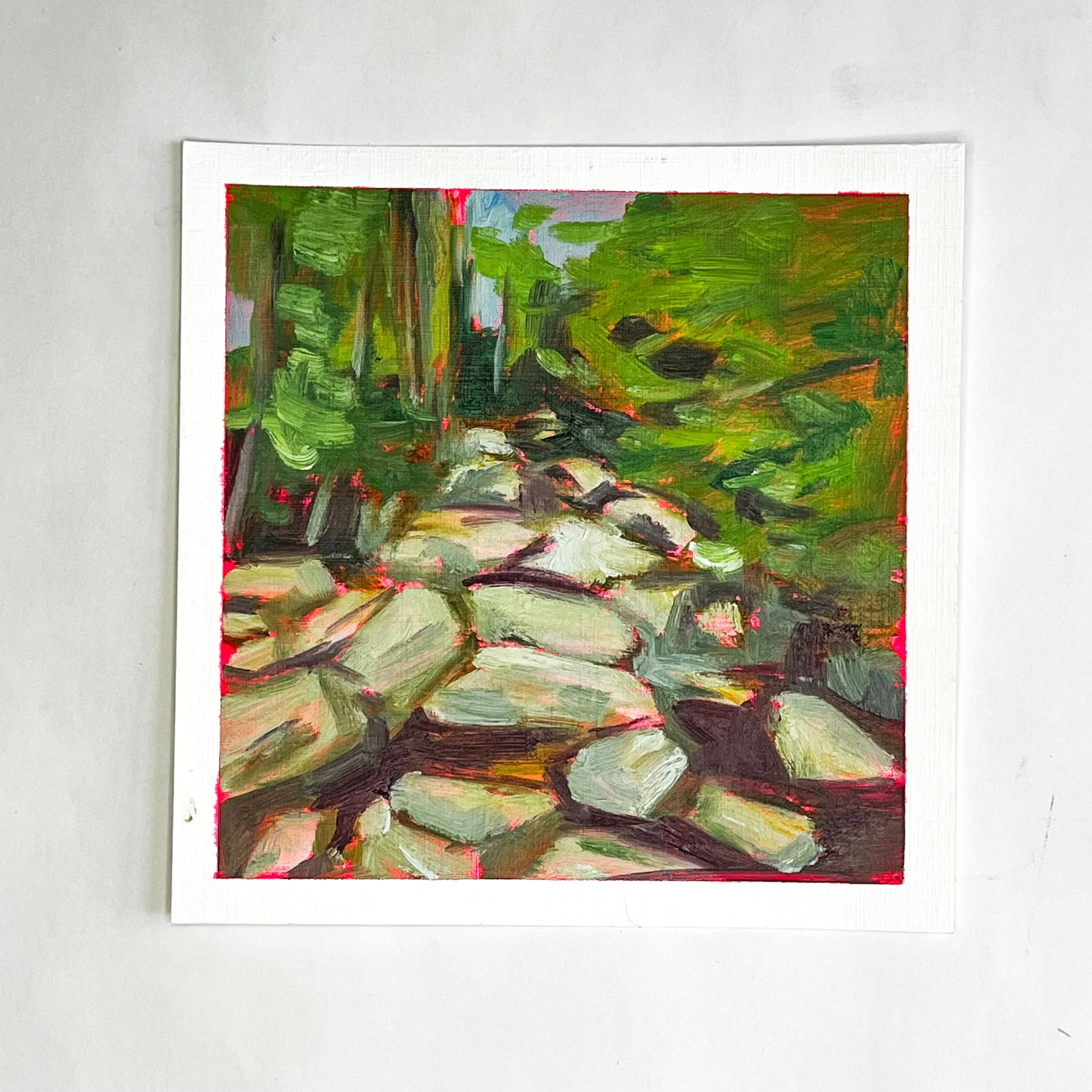 East Branch Sacandaga with Fluorescent Pink