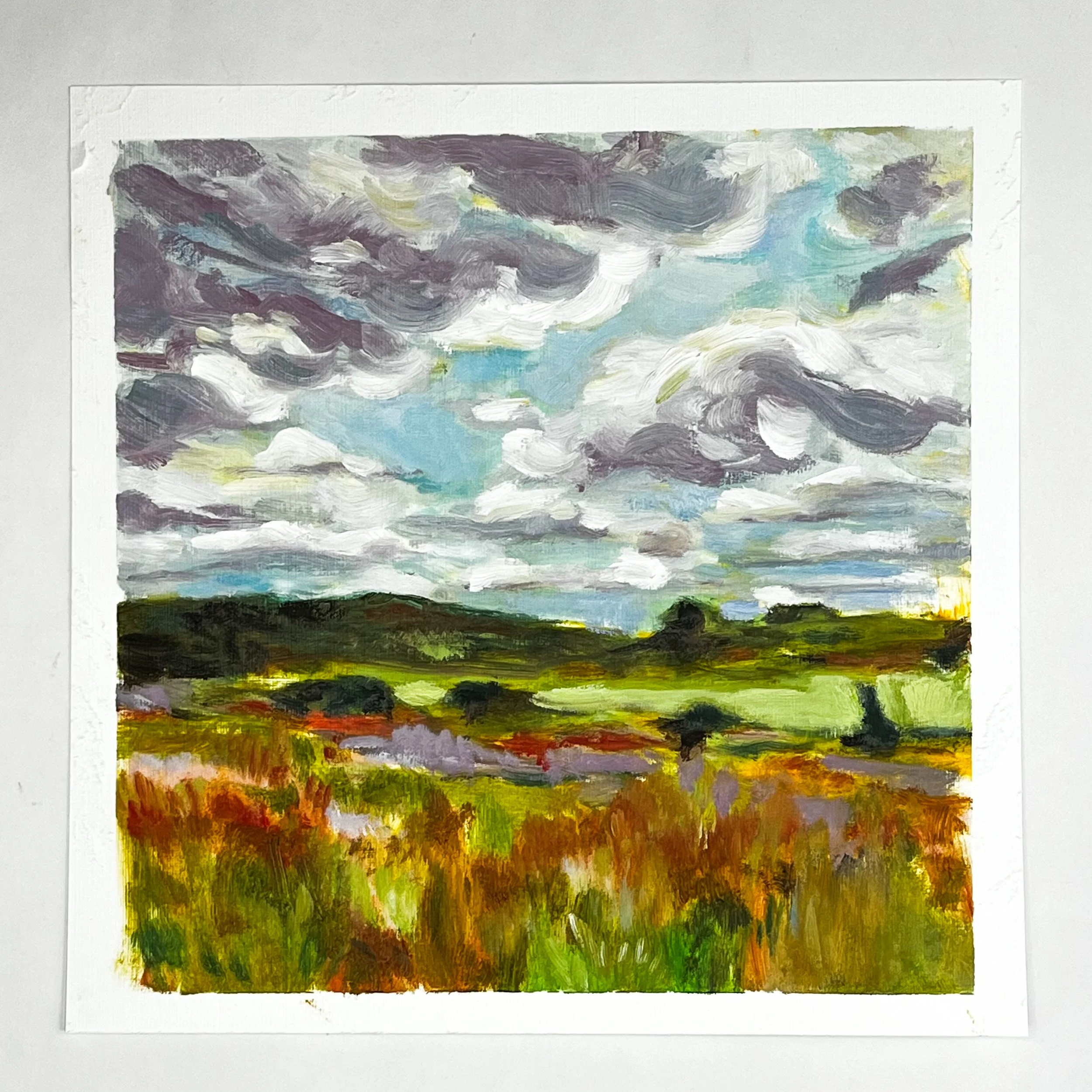 Woodsom Farm view with flowering fields