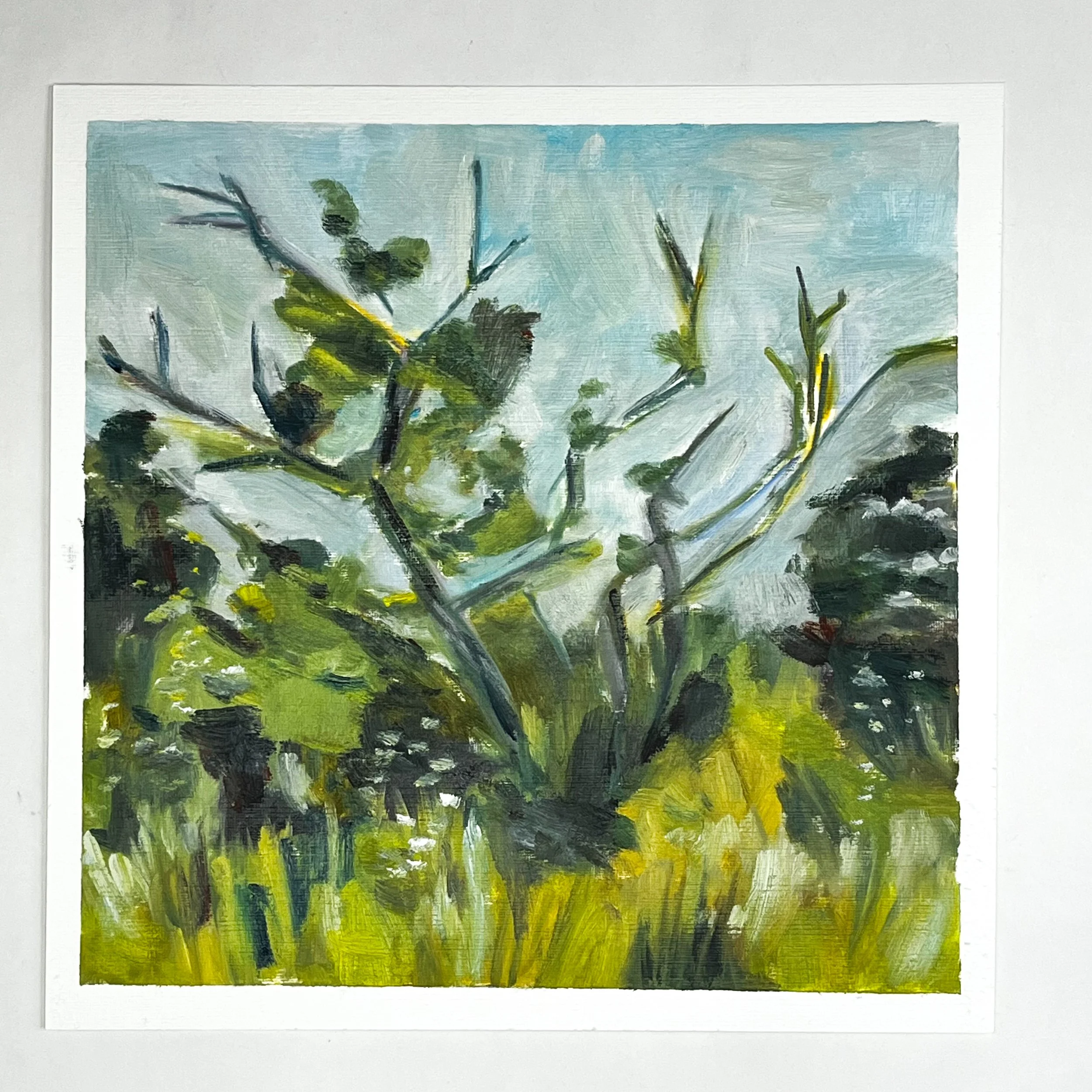 Flowers in the trees