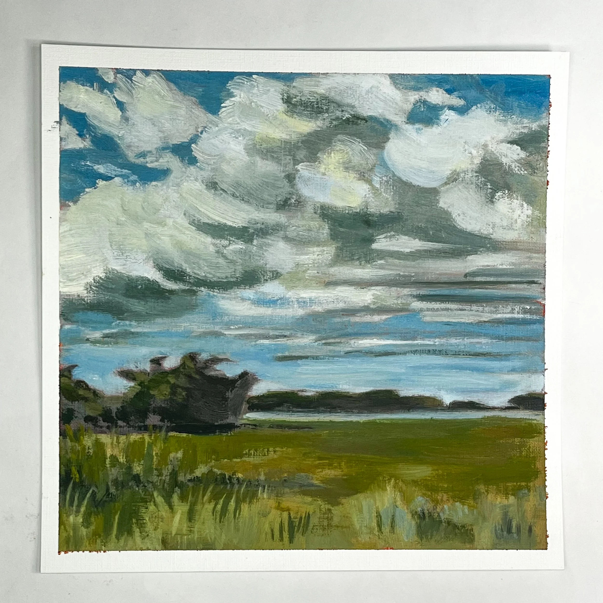Cox Reservation Ocean View