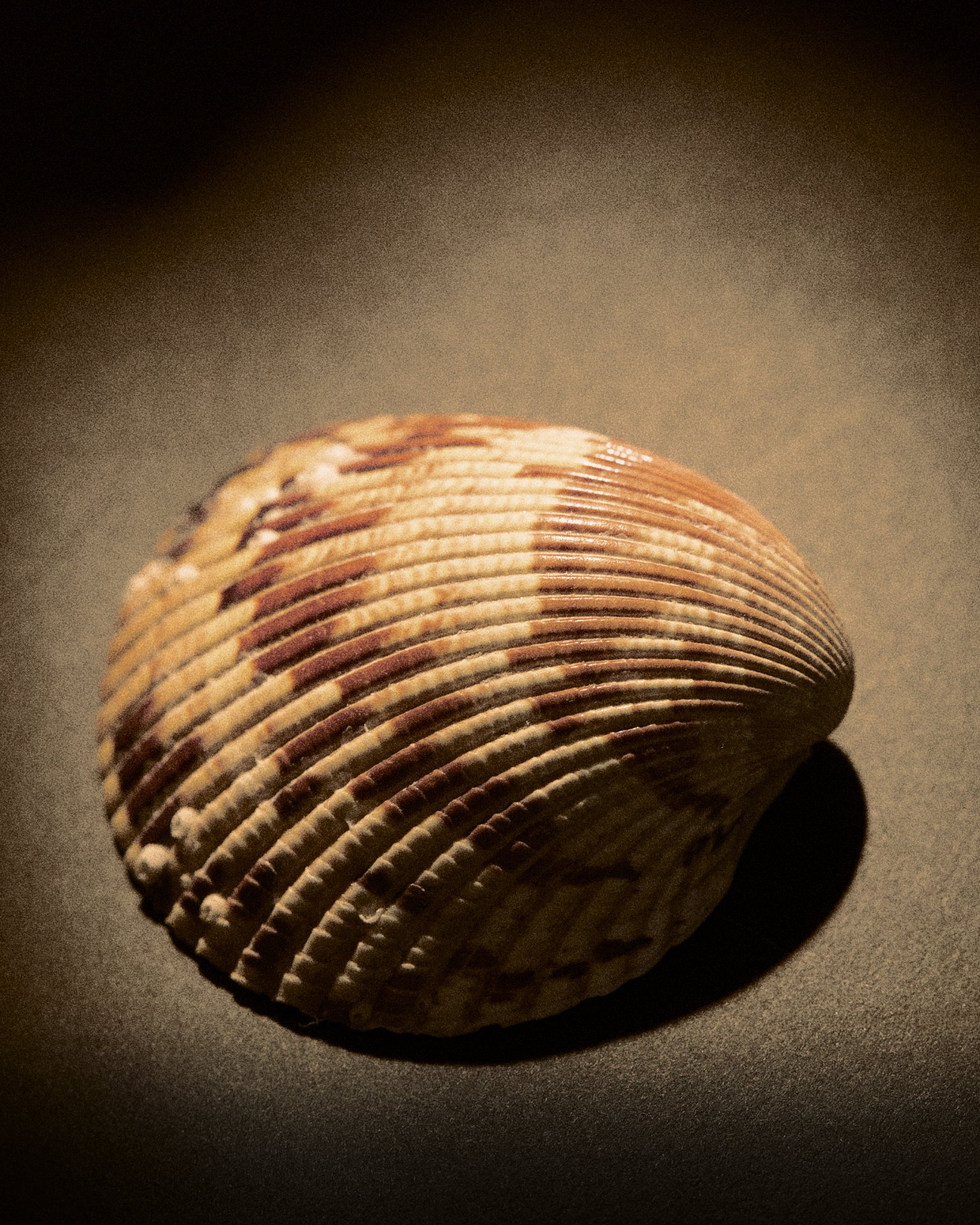 Feb-2-2026-playing-around0130 1.jpg