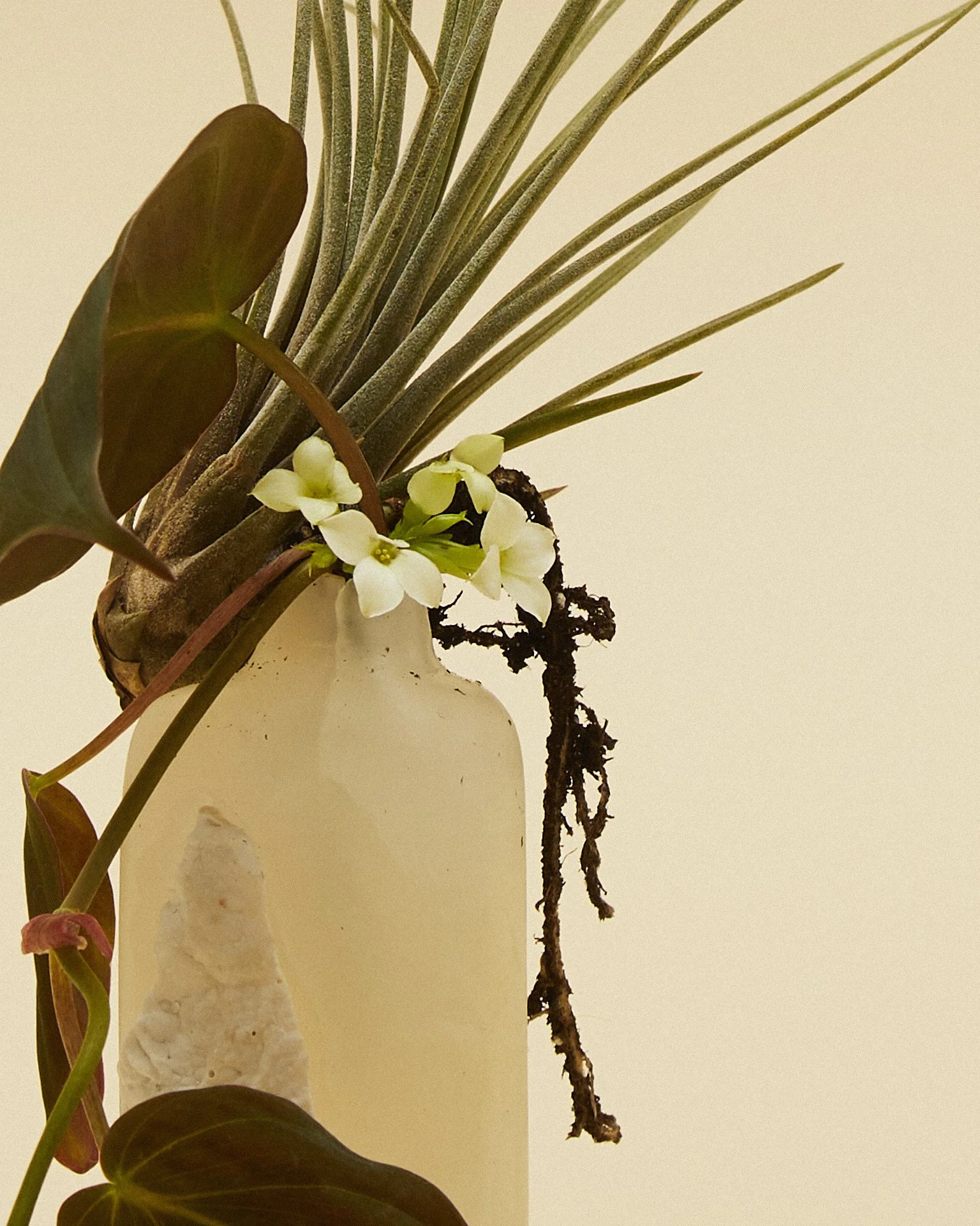 liz_march_2_20241677 1 1.jpg