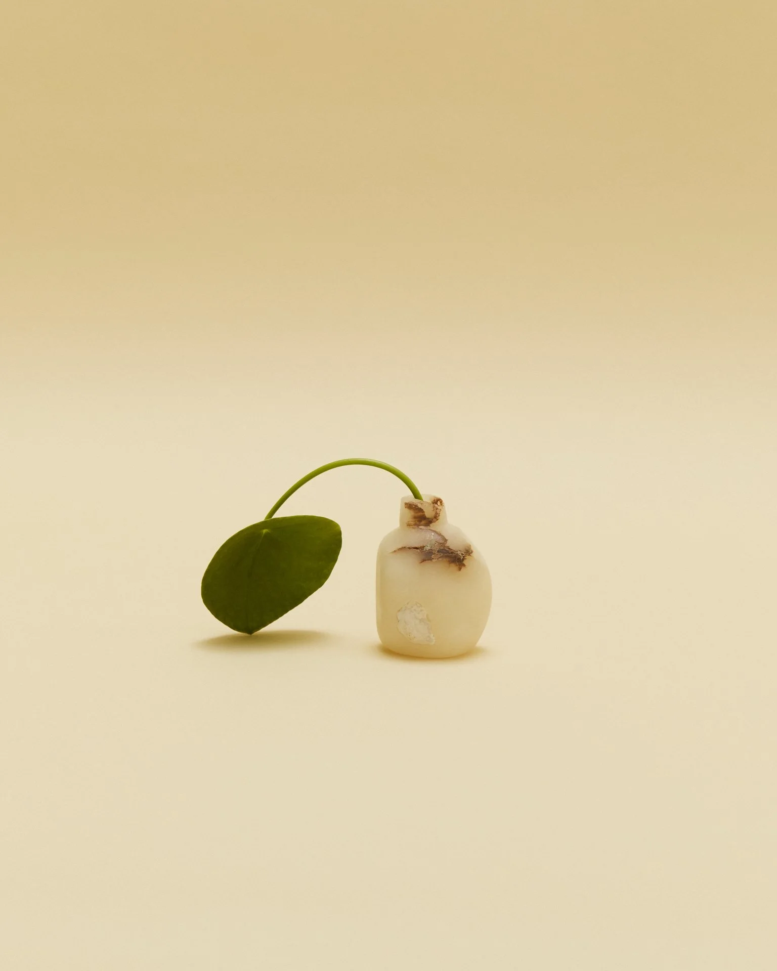 liz_march_2_20241684 1.jpg