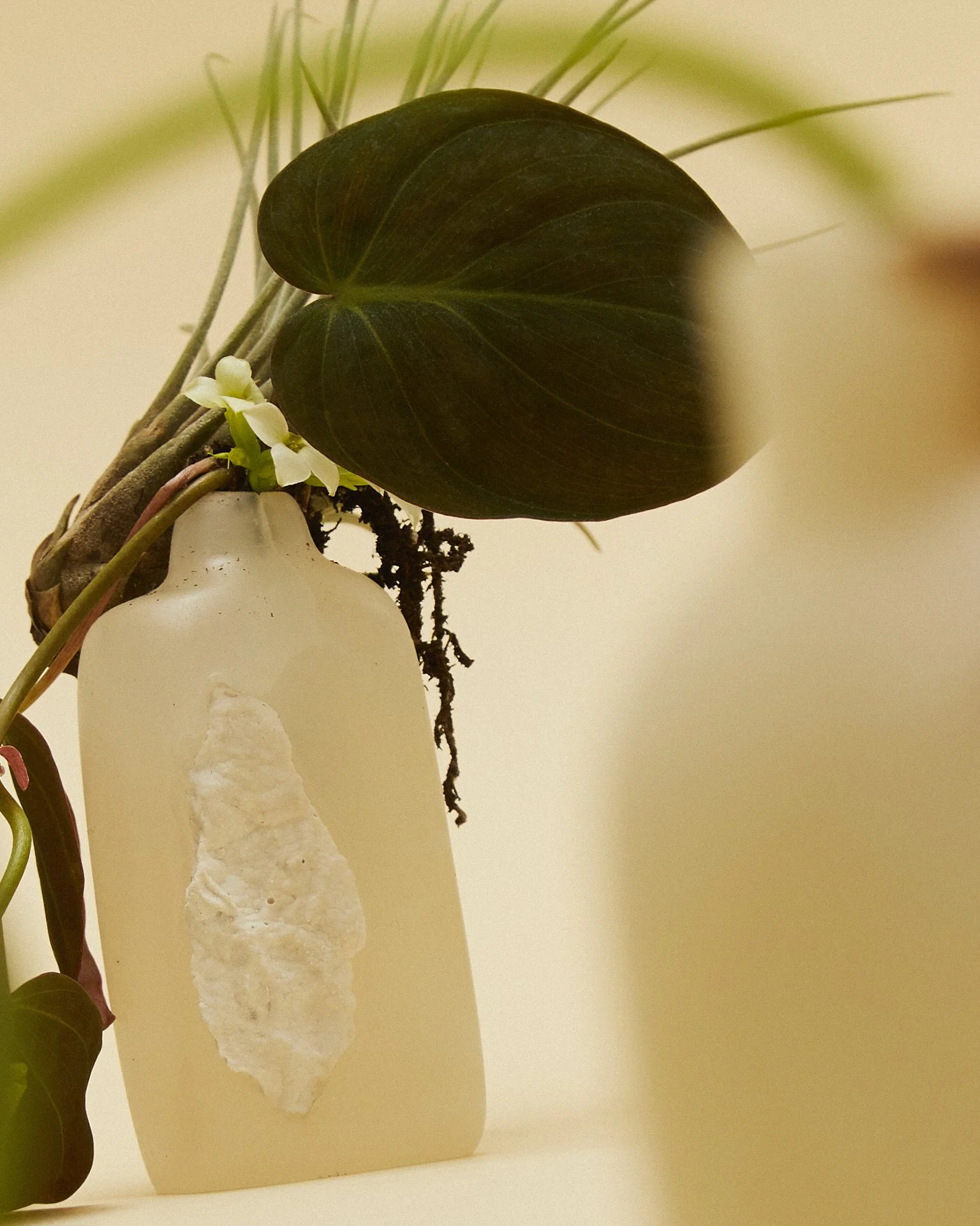 liz_march_2_20241693 1 1.jpg