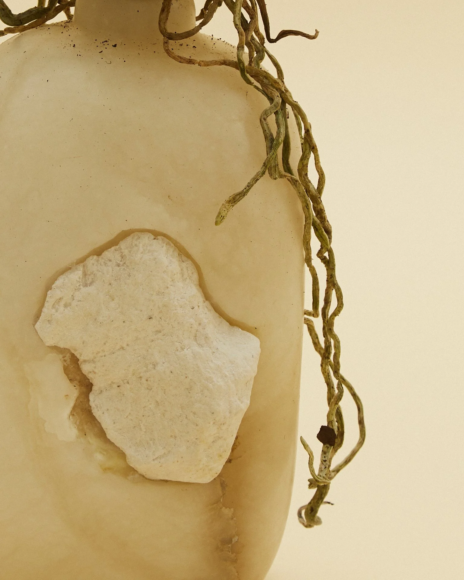 liz_march_2_20241735 1 1.jpg