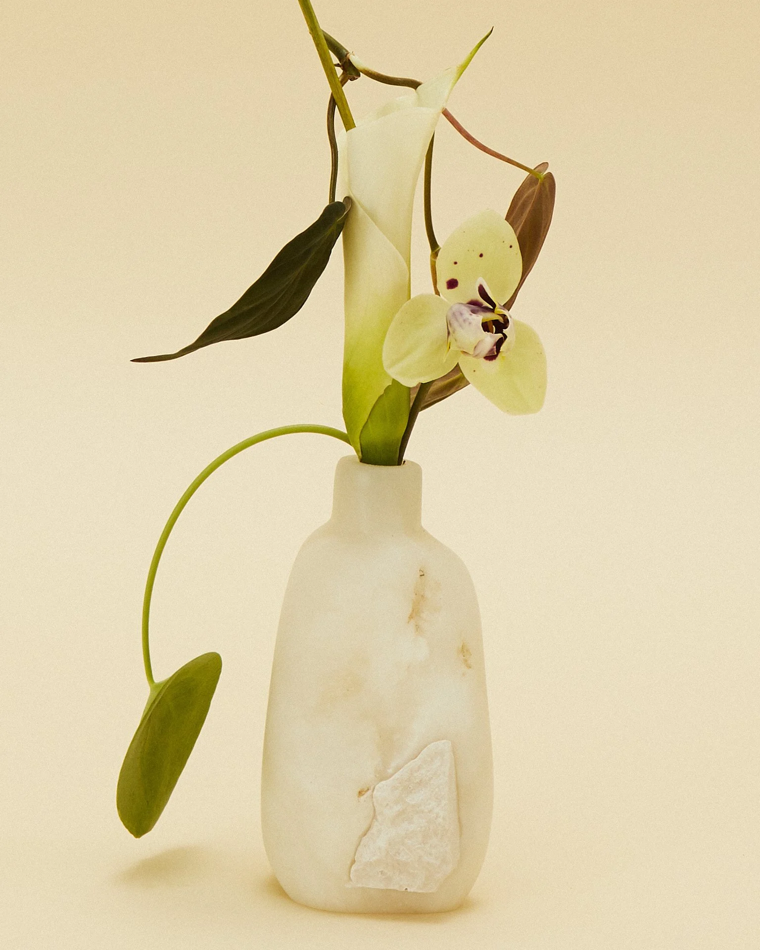 liz_march_2_20241801 1 1.jpg