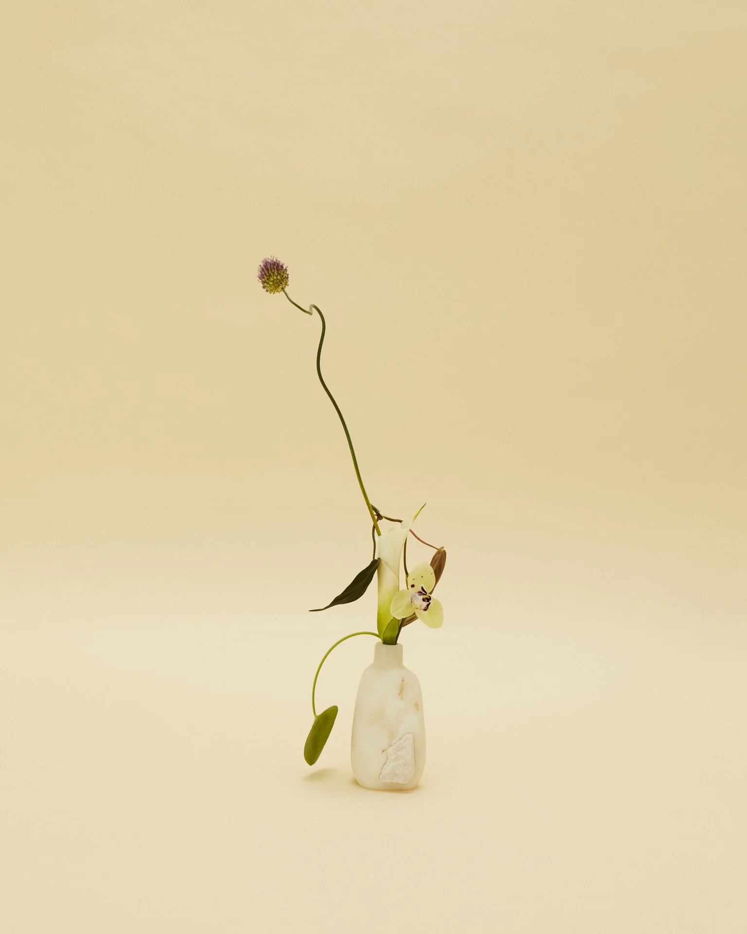 liz_march_2_20241801 1.jpg