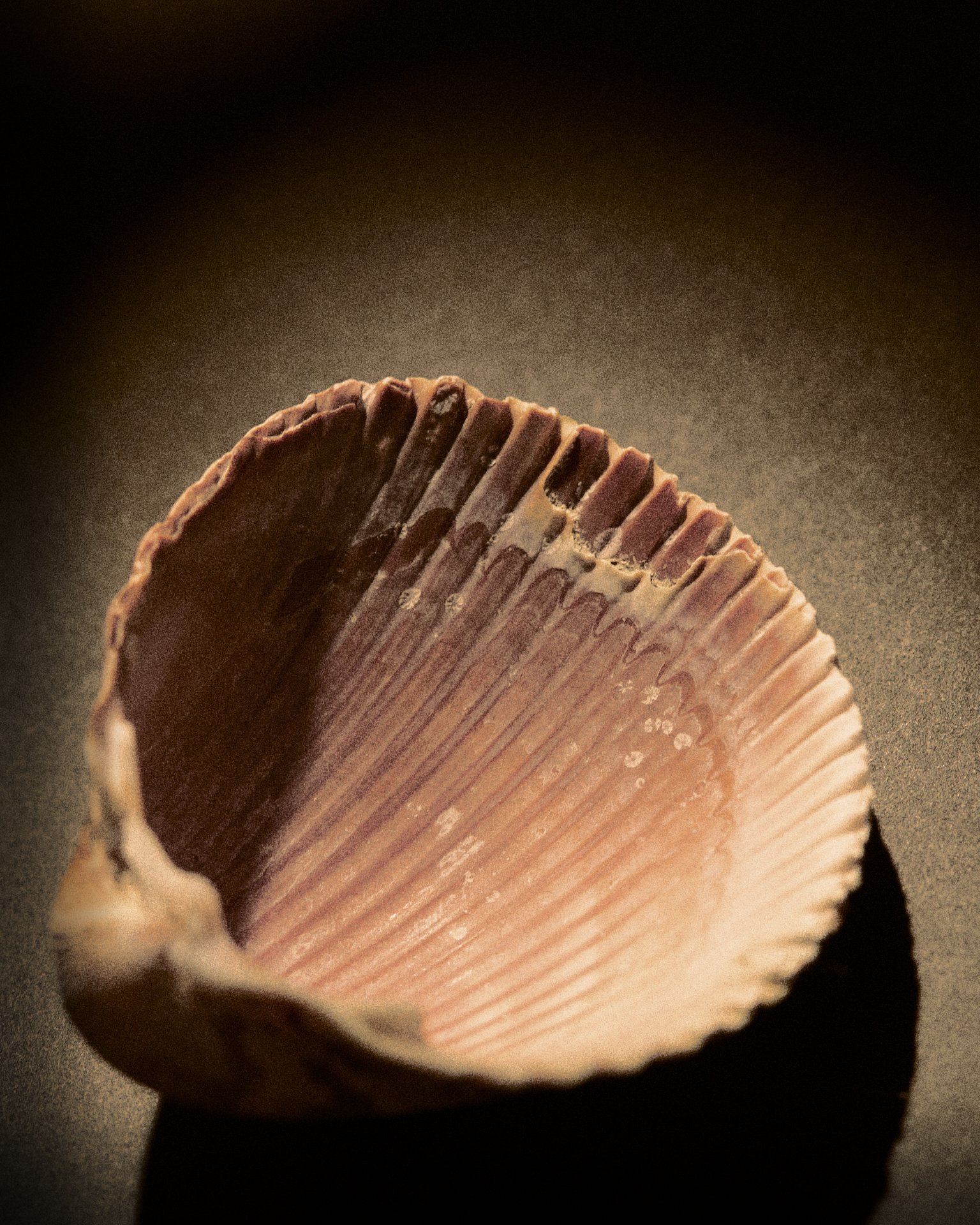 Feb-2-2026-playing-around0131 1.jpg