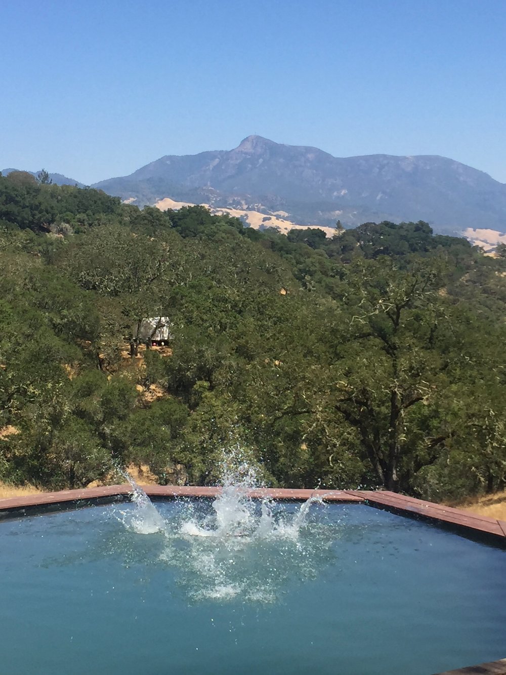 Dipping Pool at Glamping Retreat Sindisa Sanctuary