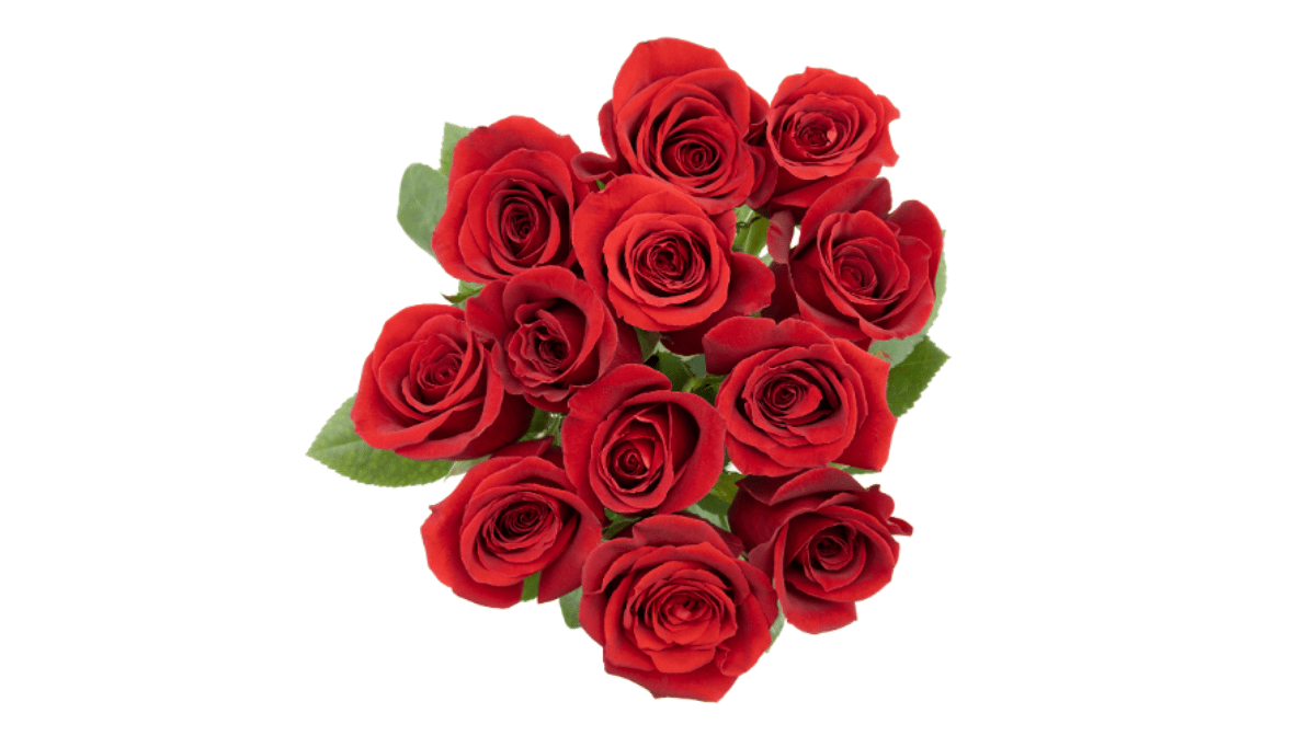 C4B7640B-E7F1-442D-A8C2-8E43D585C5DA