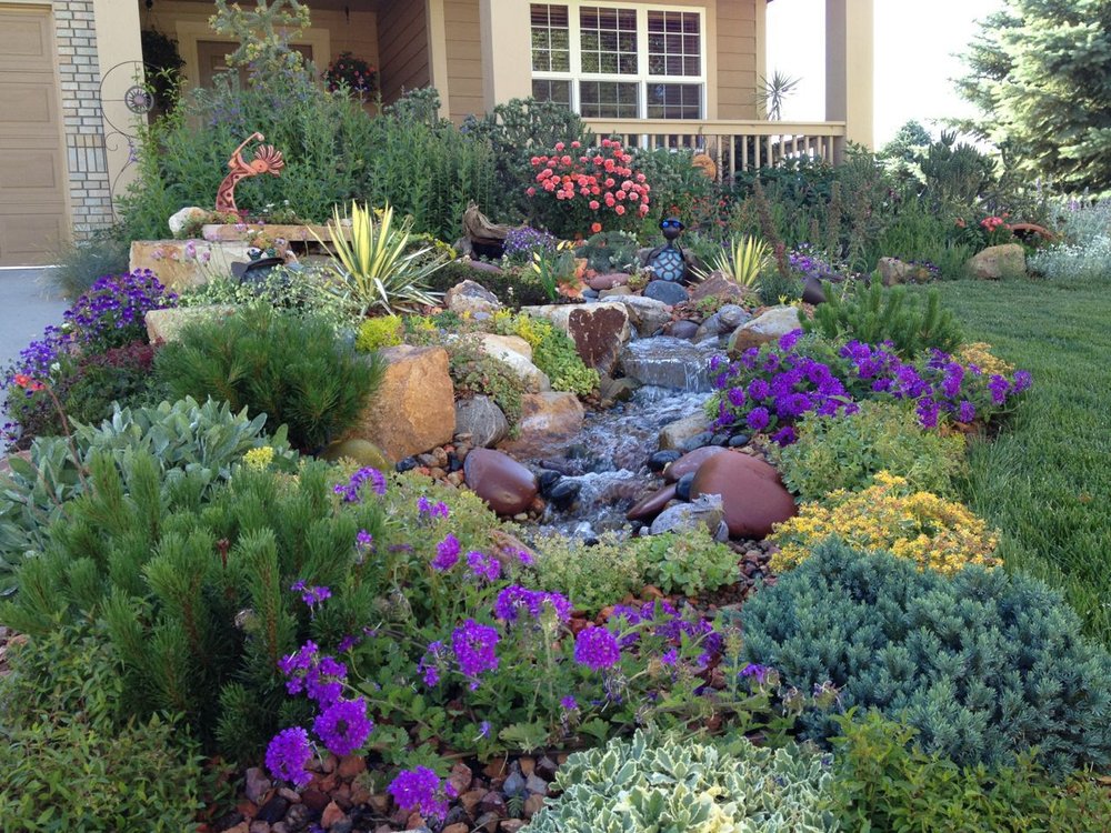 Realtor In Hill Country Texas, Texas Hill Country Native Plants For Landscaping