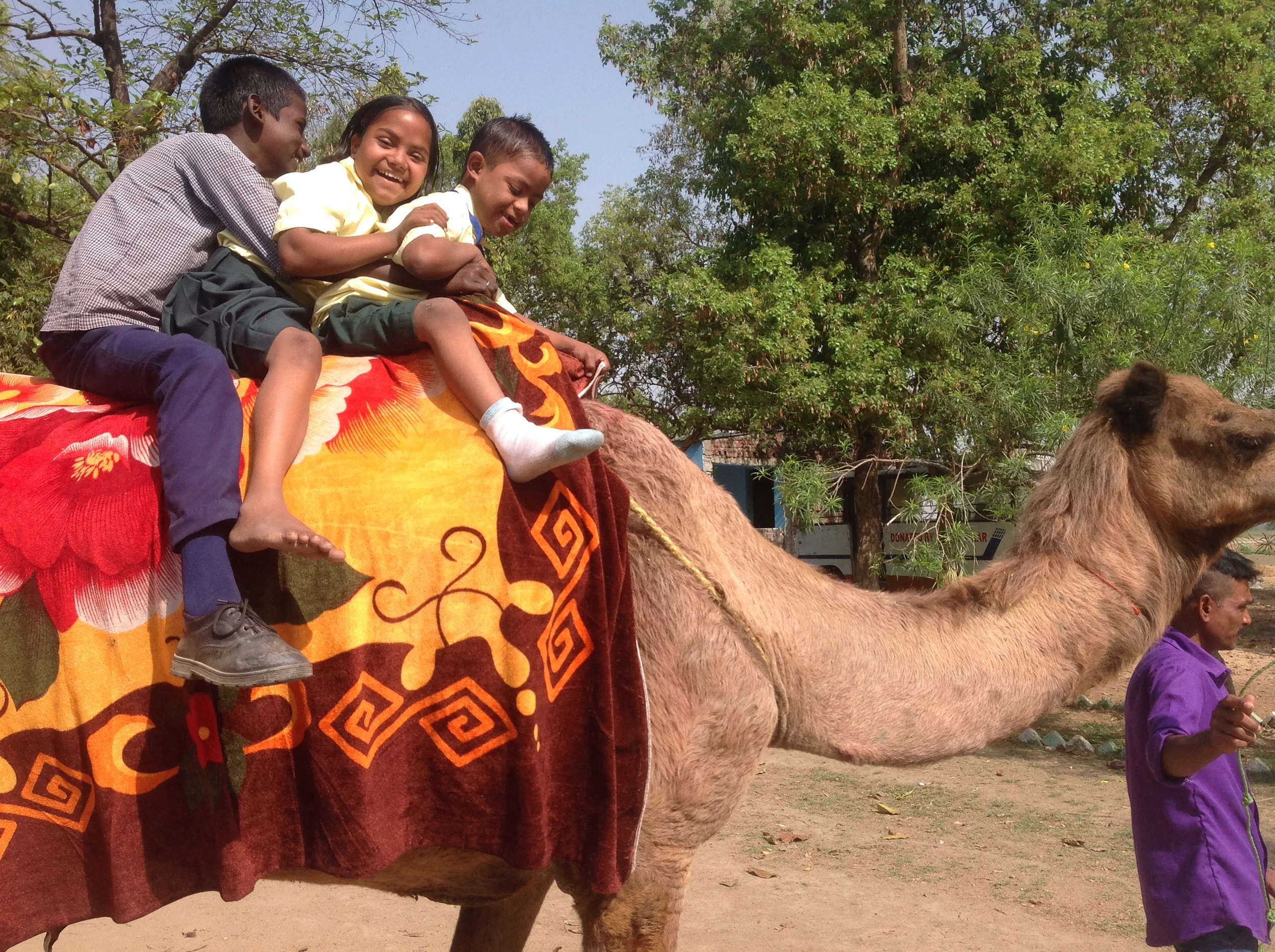 three having fun on camel.jpg
