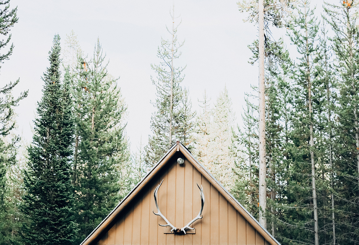 cabin_resized.jpg