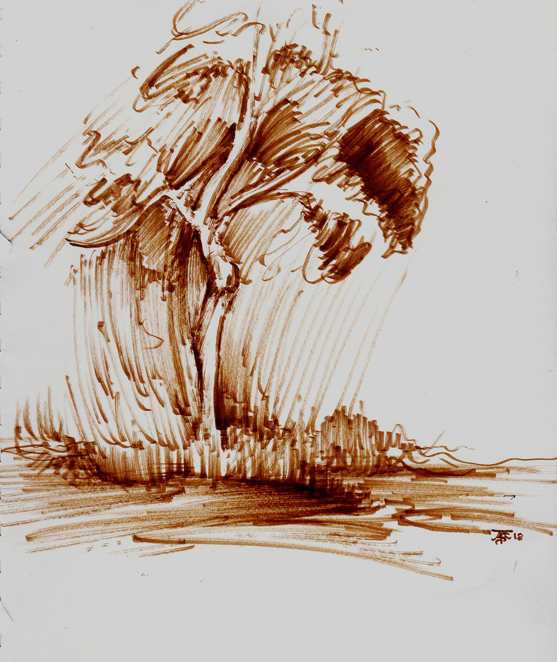 Ansell_Tom_Lone Tree_final version.jpg
