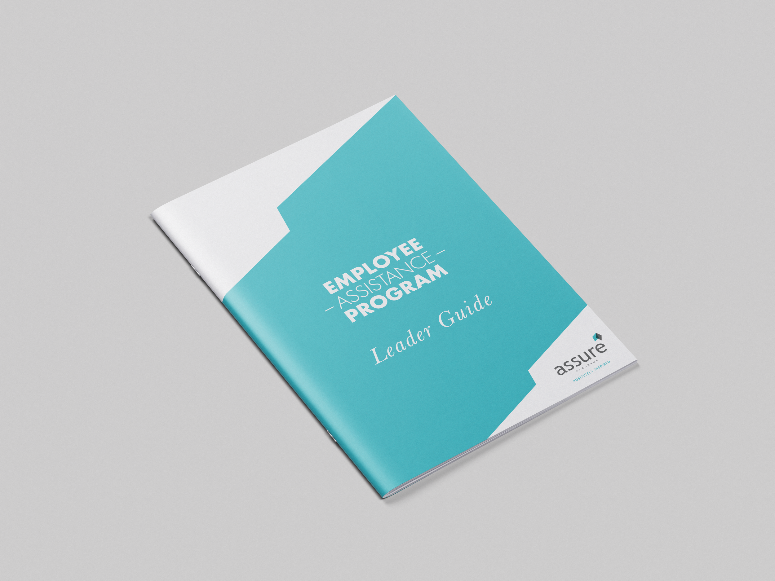 Assure_Leader Guide_Mock Up.png