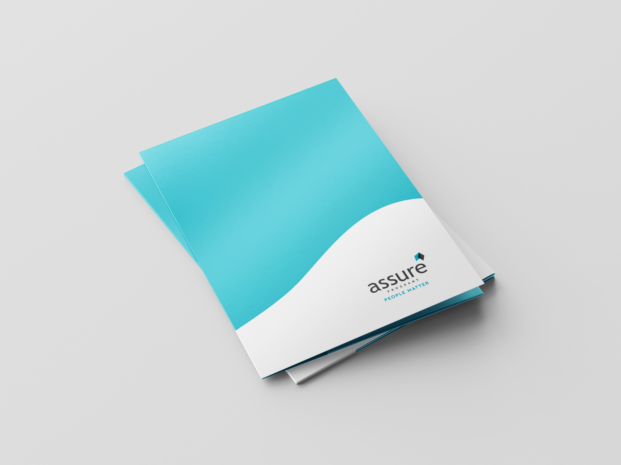 Assure_Presentation Folder_Mock-Up.png