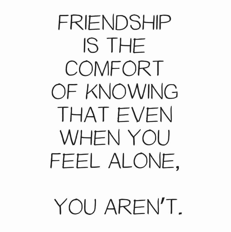 Friendship-is-knowing-you-arent-along-6-800x803.jpg
