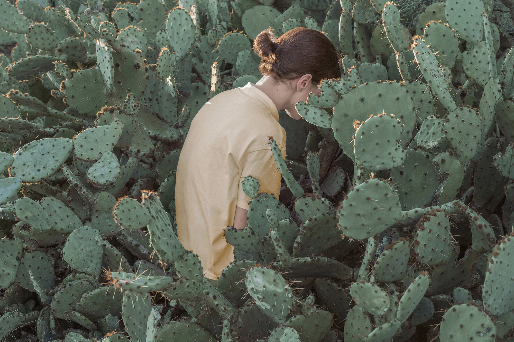 From Our Desk - March 25, 2020