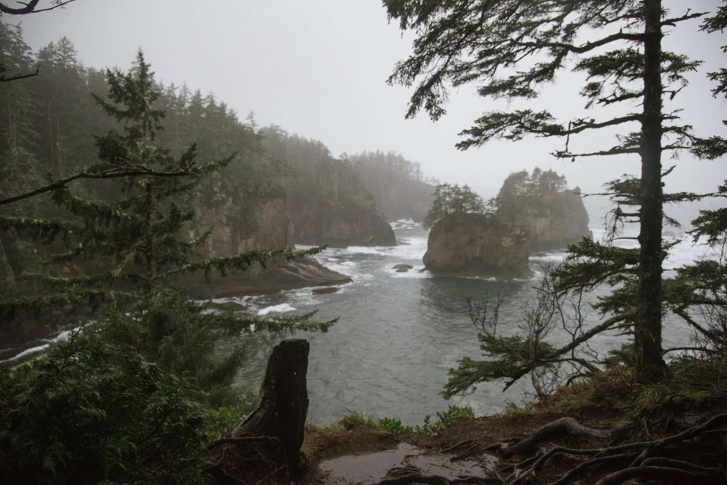 seattle-10.jpg