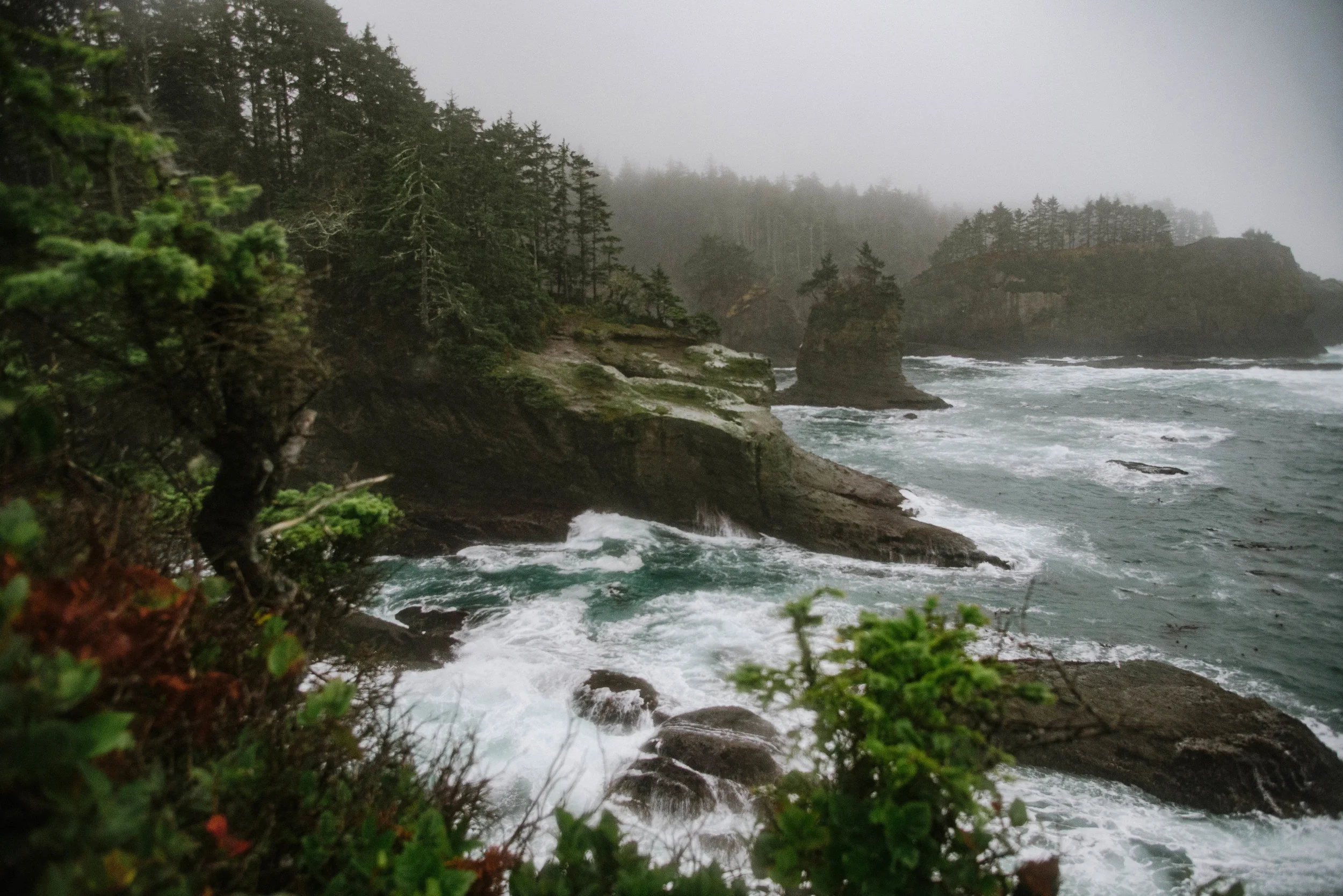 seattle-11-2.jpg