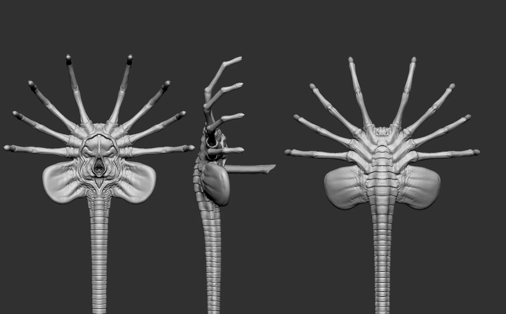 230828_facehugger.jpg