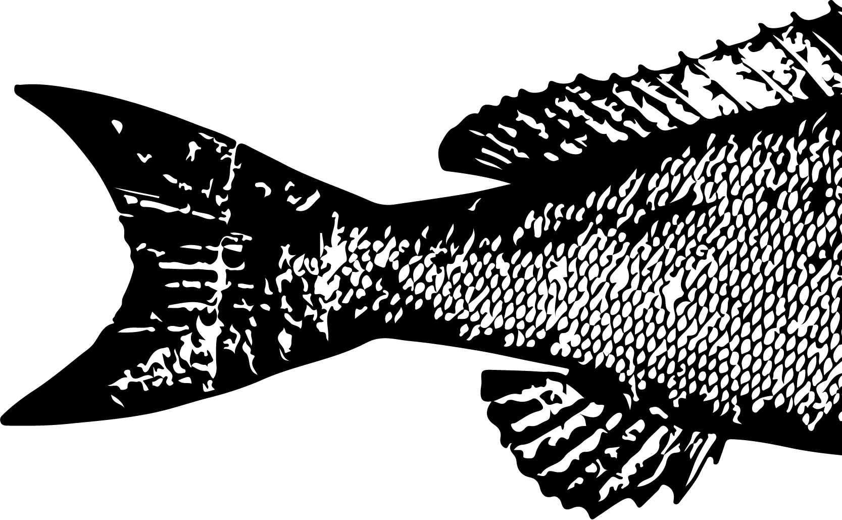 FBL WEB LOGO-01.png