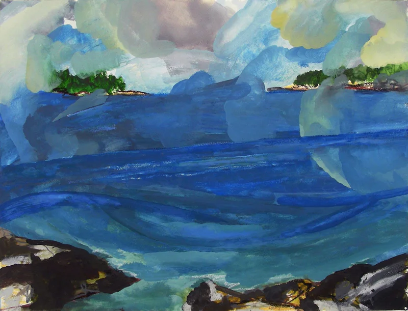 Schoodic '11 (west)
