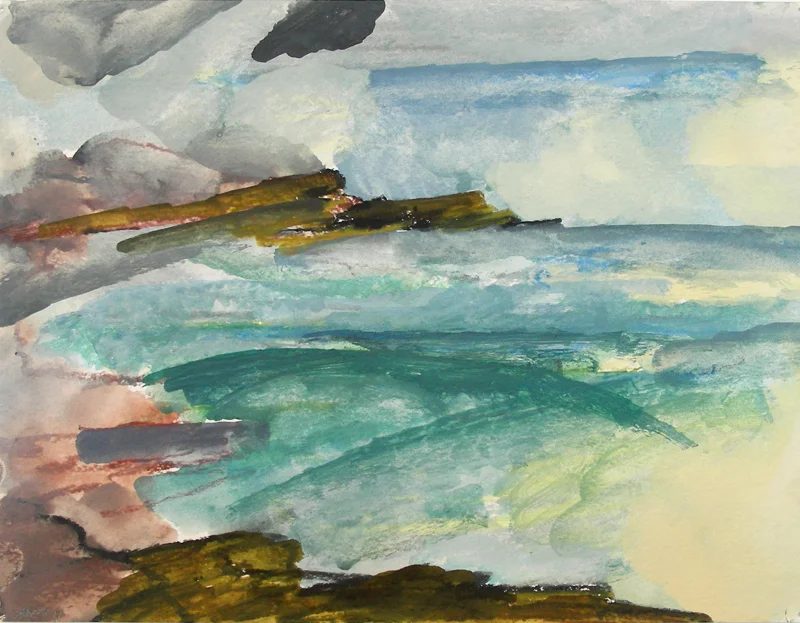 Mist at Schoodic