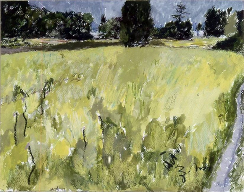 Field At Hancock