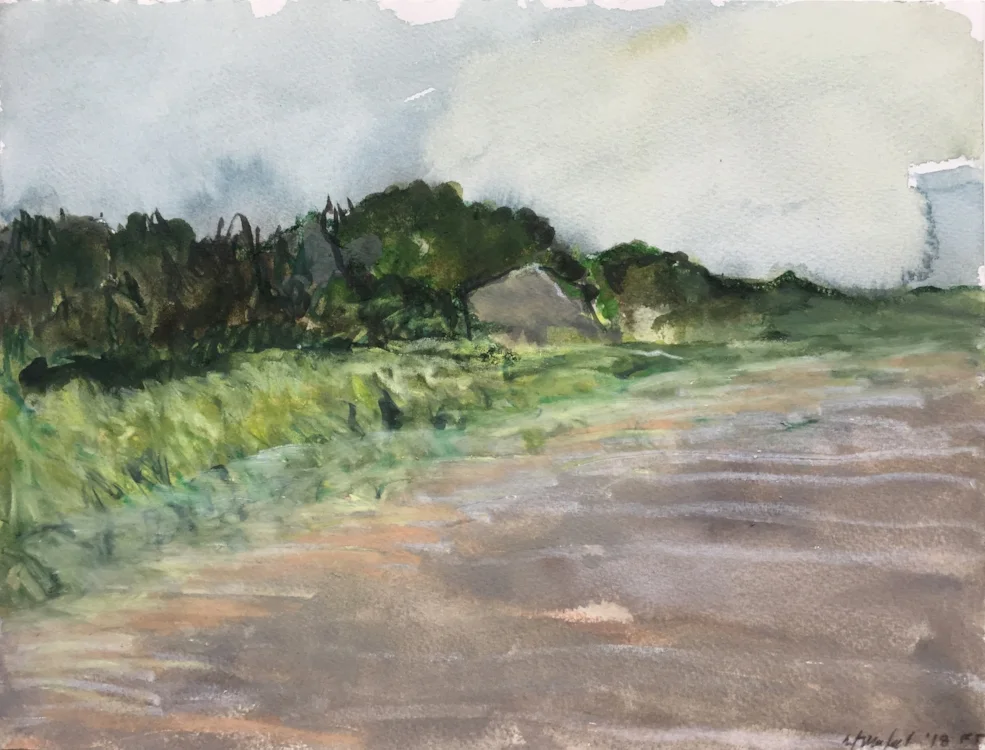 Scrub Oak, Ruined Bunker, Ft Tilden