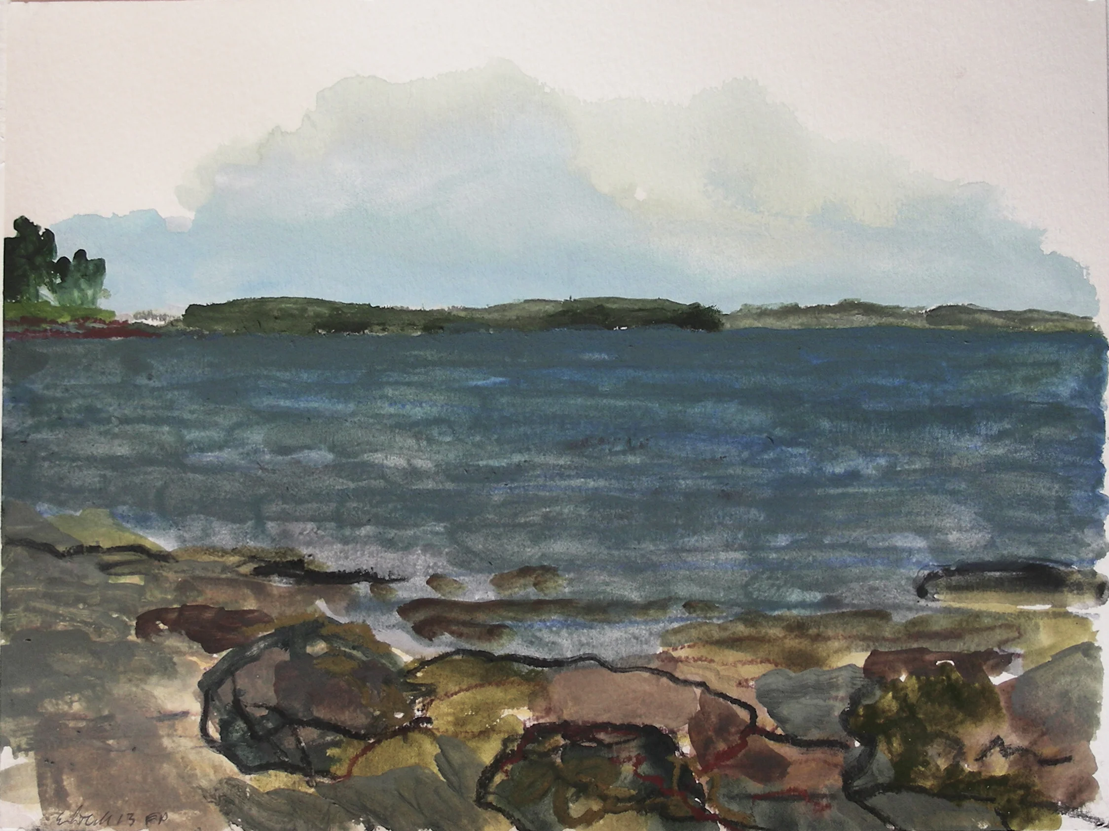 Flye Point #1