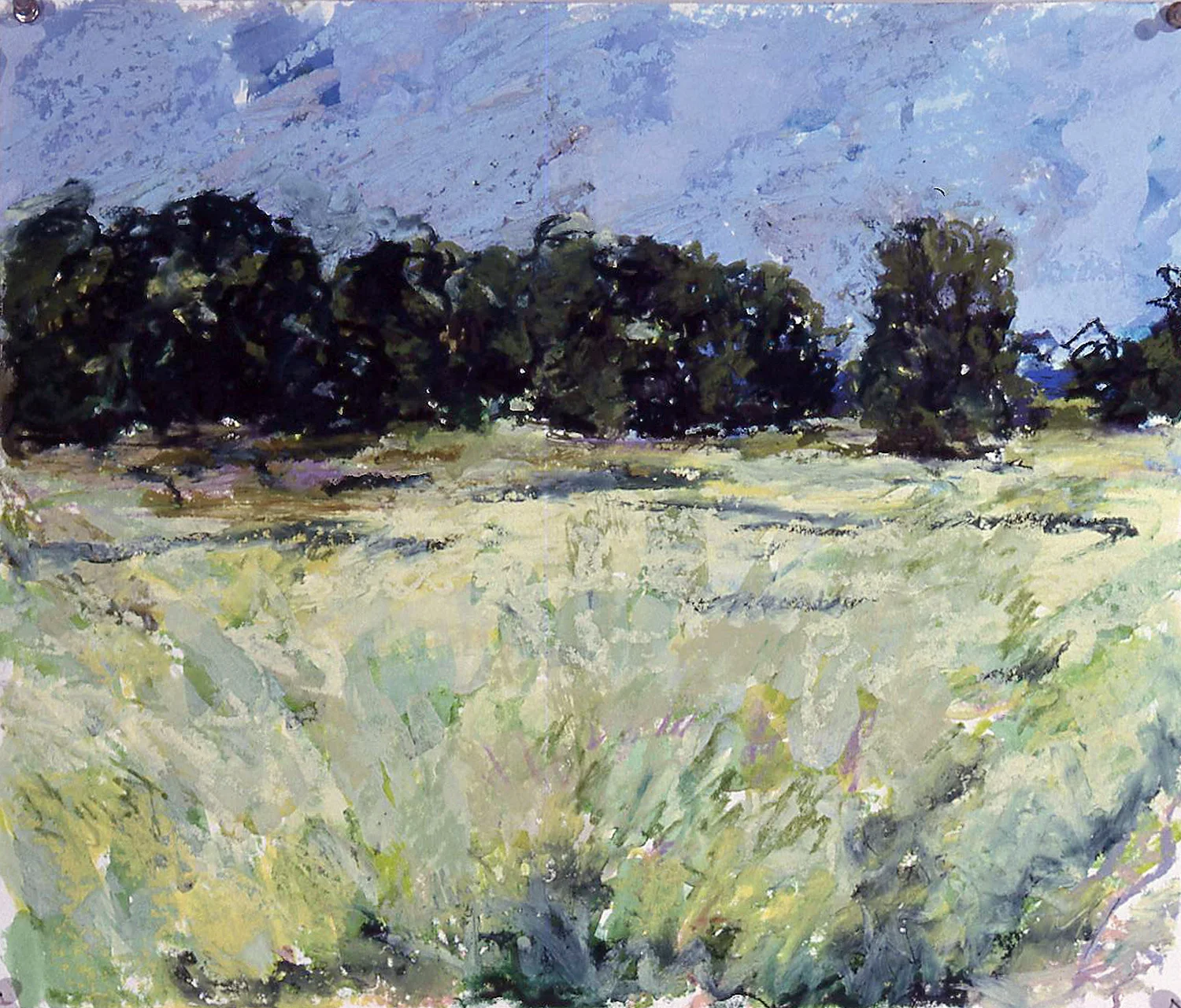 Field At Hancock