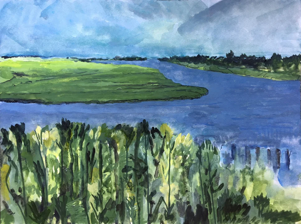 Salt Marsh, Marine Park