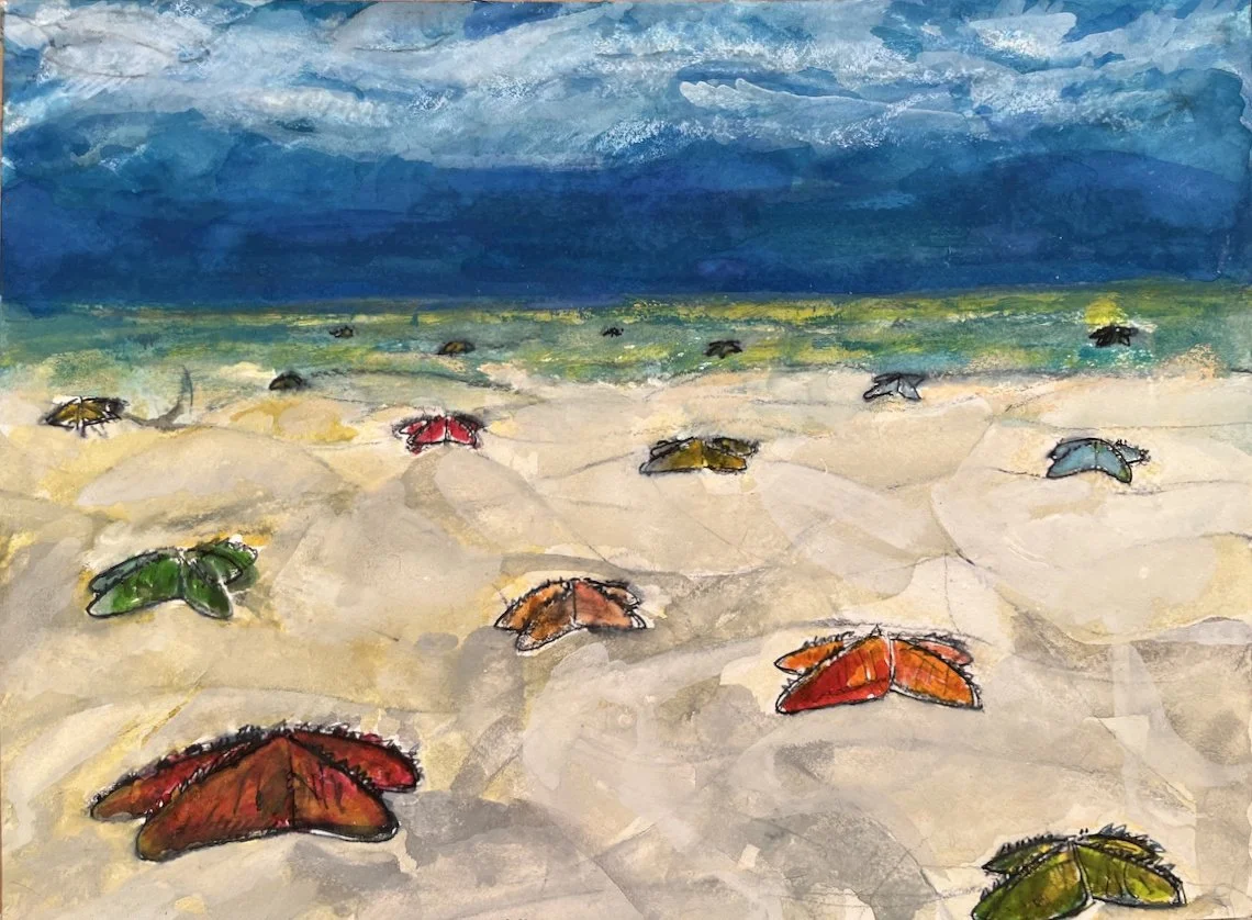 Horned Sea Stars In The Shallows Off Borneo