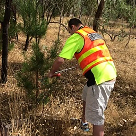 Dennis at work in the Forestry Program.jpg