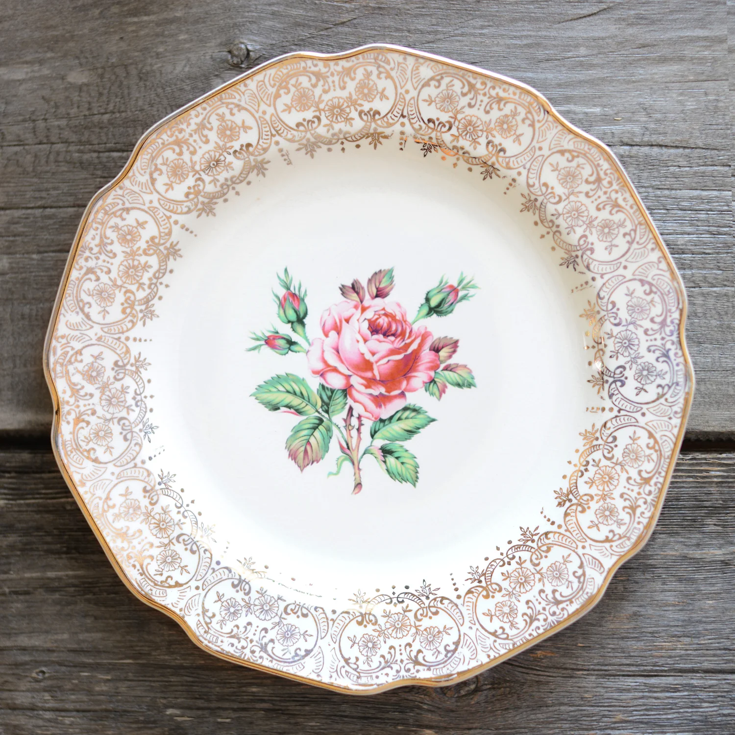 Briar dinner plate - 2 available