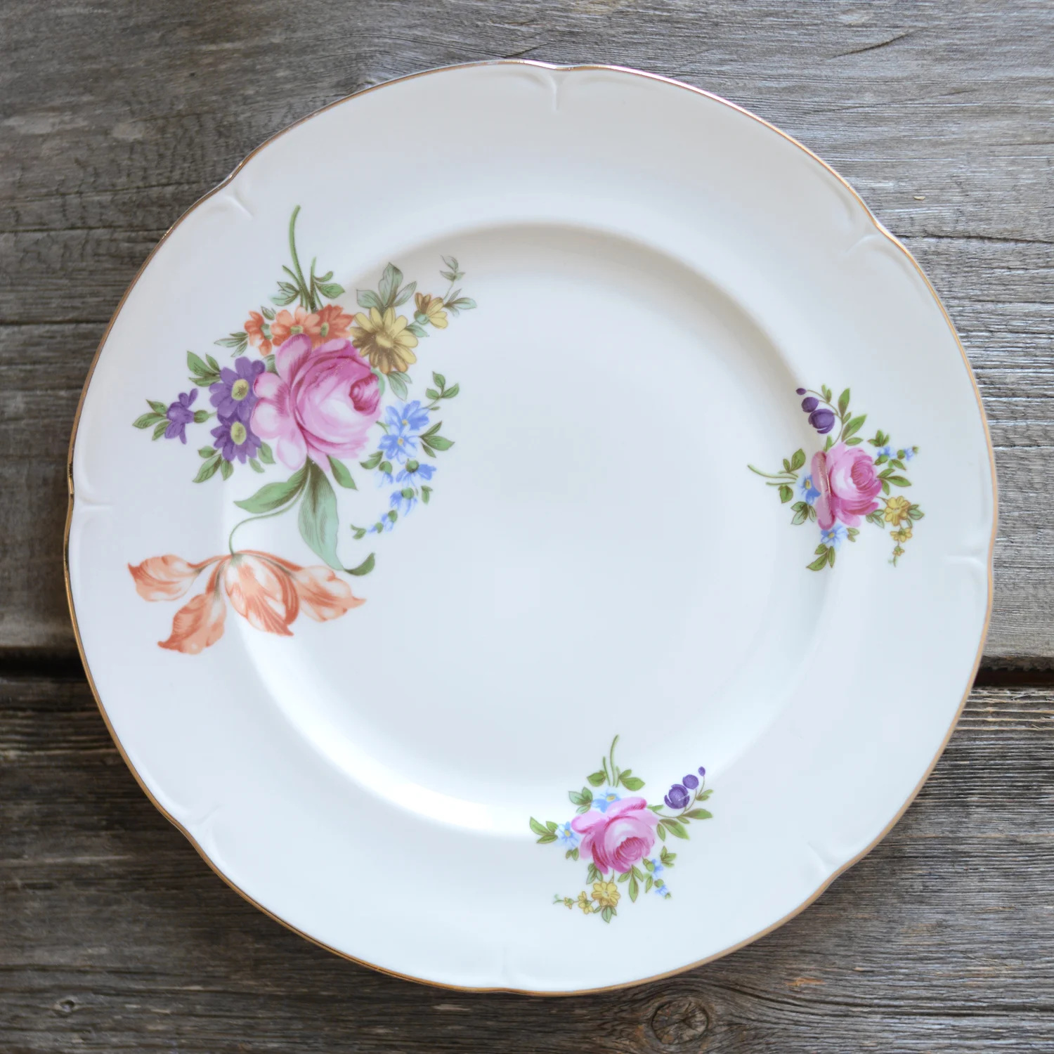 hanneburg dinner plate - 4 available