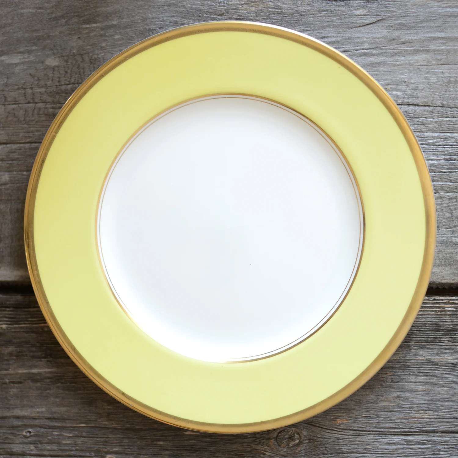 kiani dinner plate