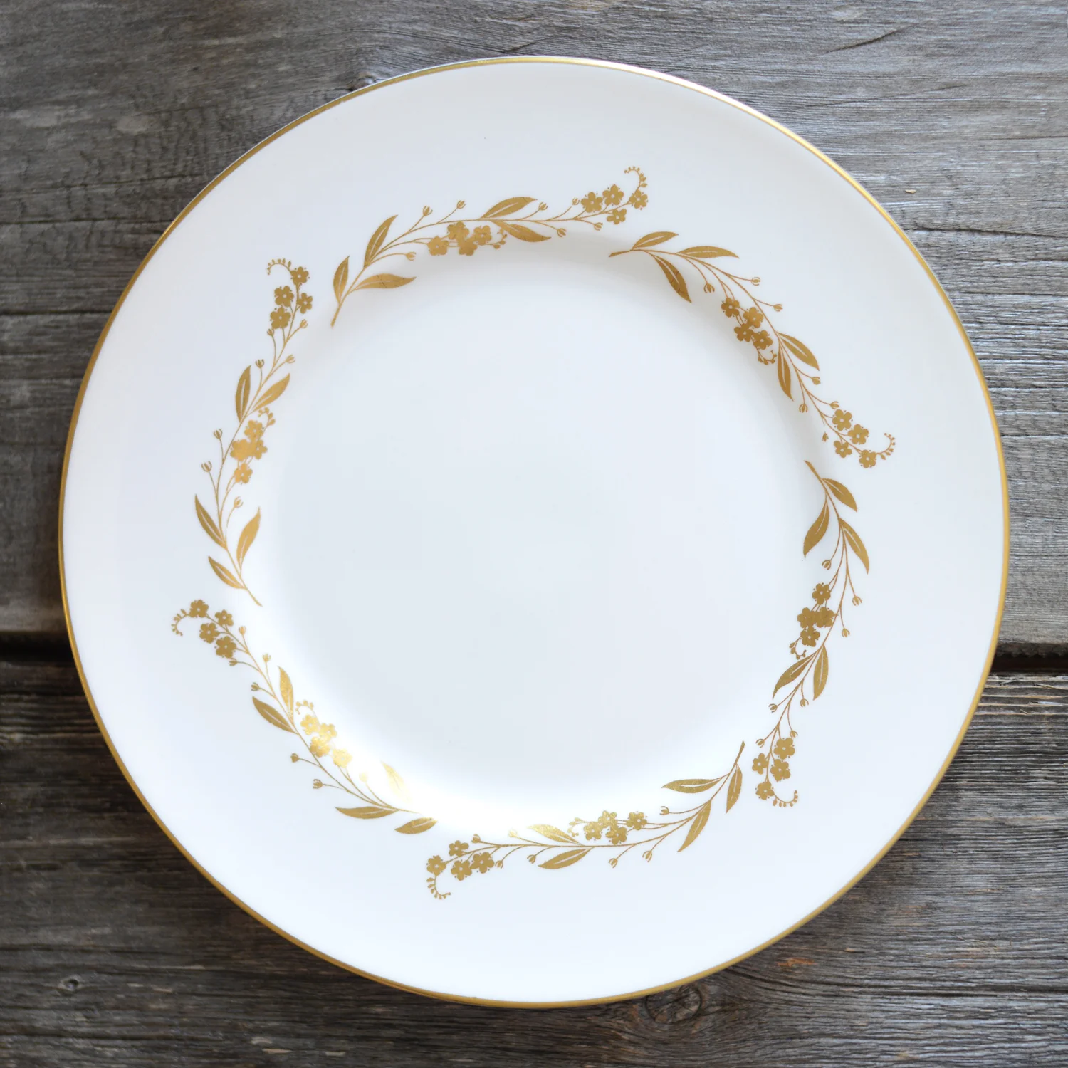 luscombe dinner plate - 6 available