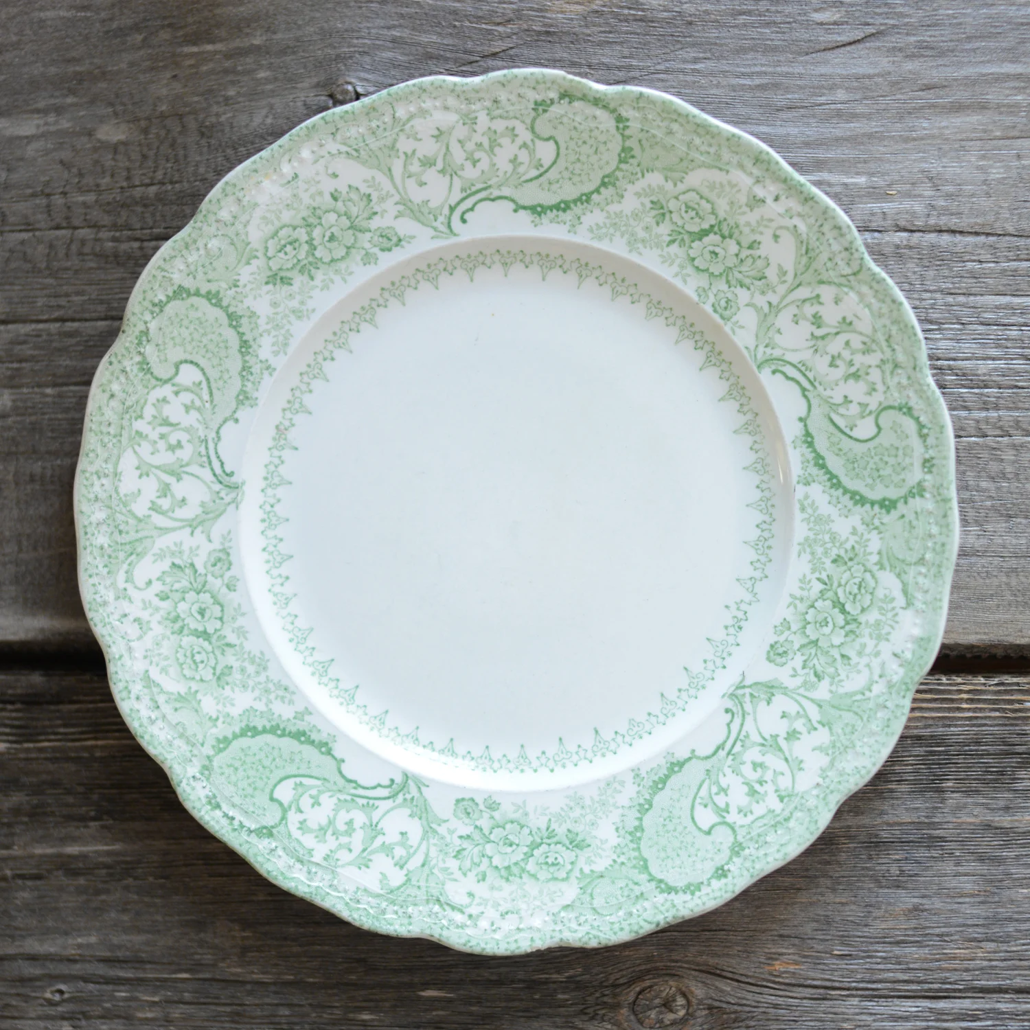 newharf dinner plate